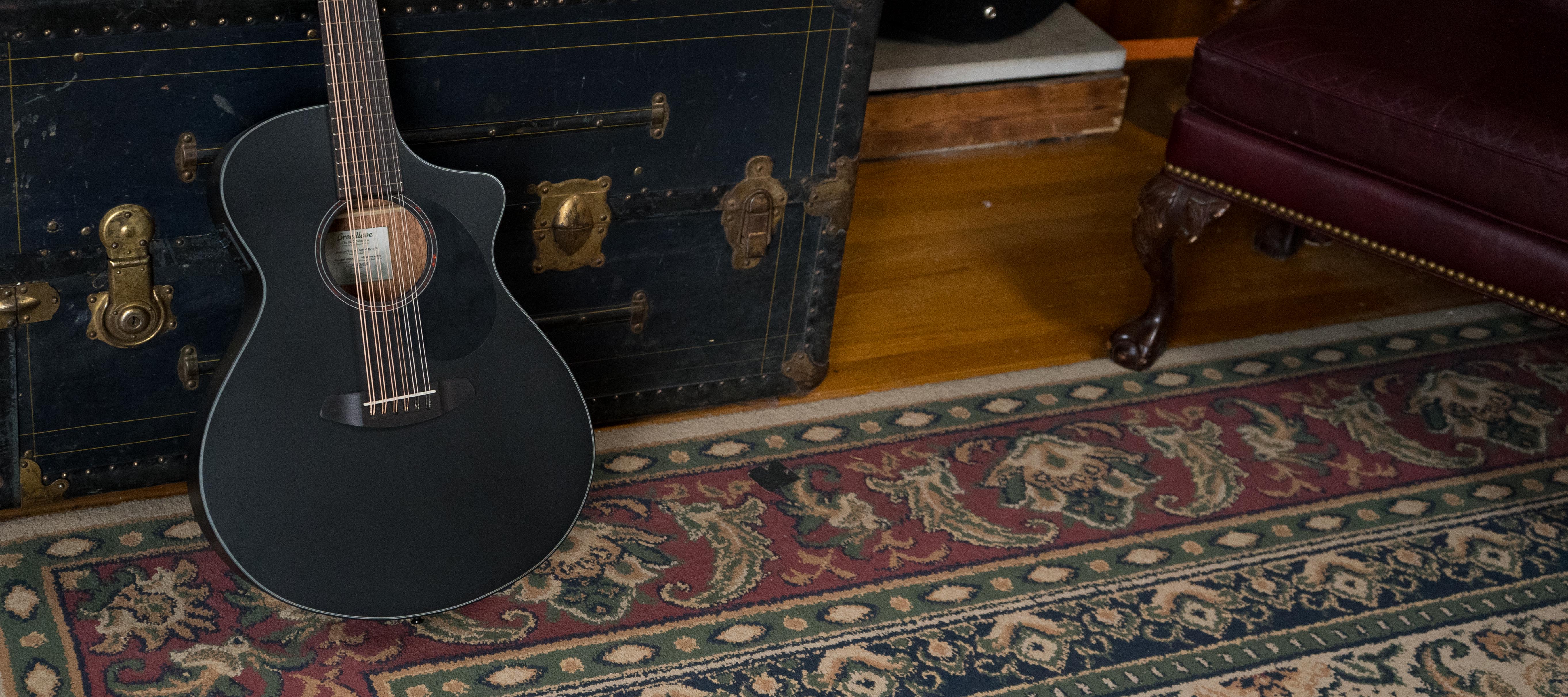 12 String/Other Guitars