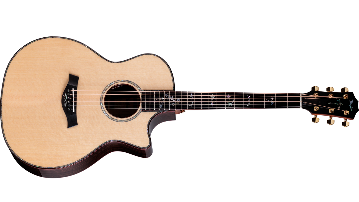 Taylor Legacy 914ce Grand Auditorium at The Acoustic Shoppe