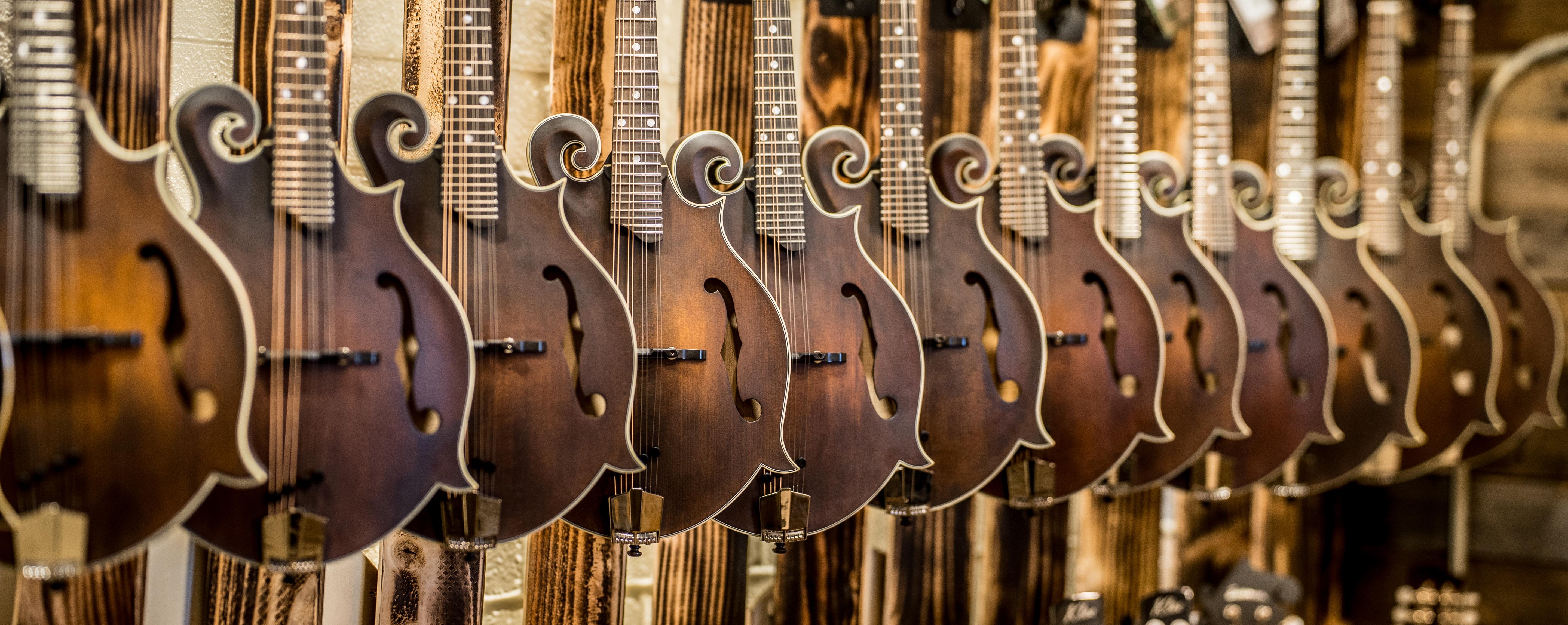 A row of brown mandolins with decorative scrolls, neatly lined up and hanging on a wooden wall in a music store.