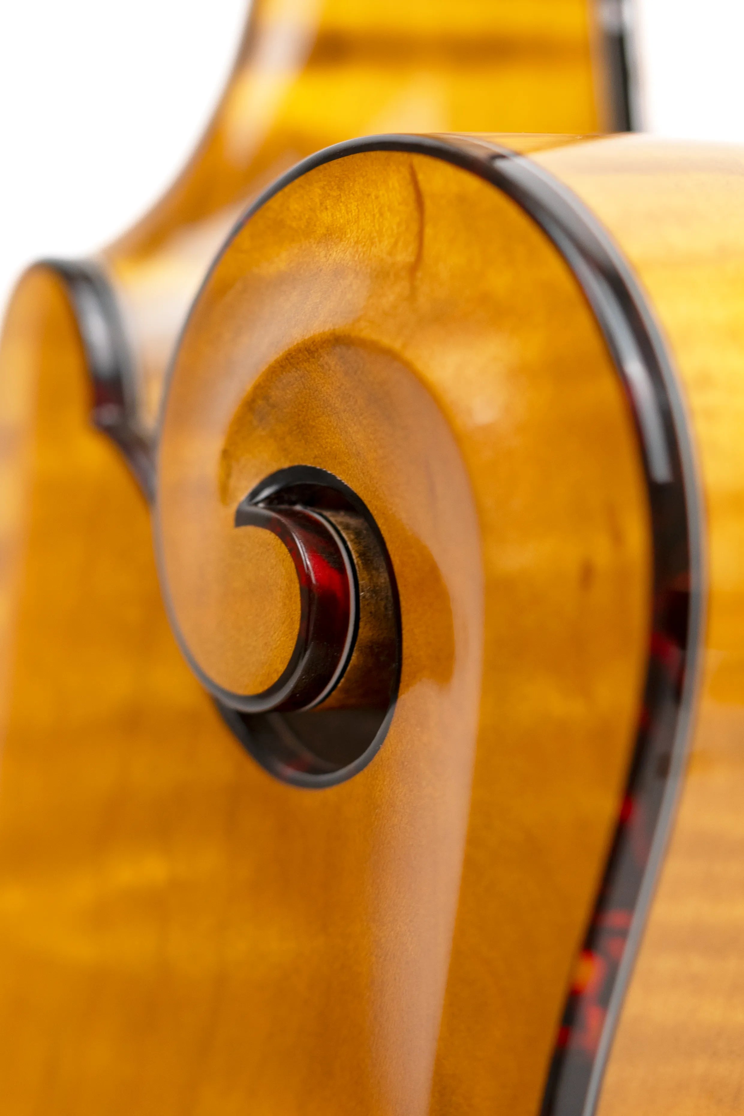 *Pre-Order Deposit ONLY* Gold Tone Grandmaster Mandolin Elite - Honey Amber Finish