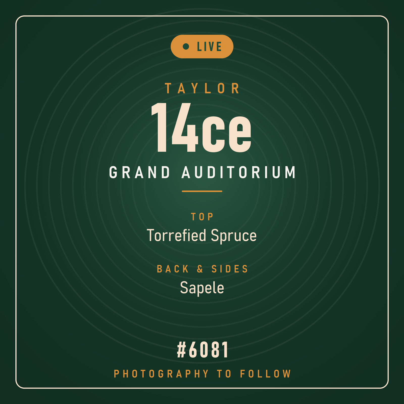 Taylor 14ce Grand Auditorium #6081 - Live Unboxing placeholder, photography to follow