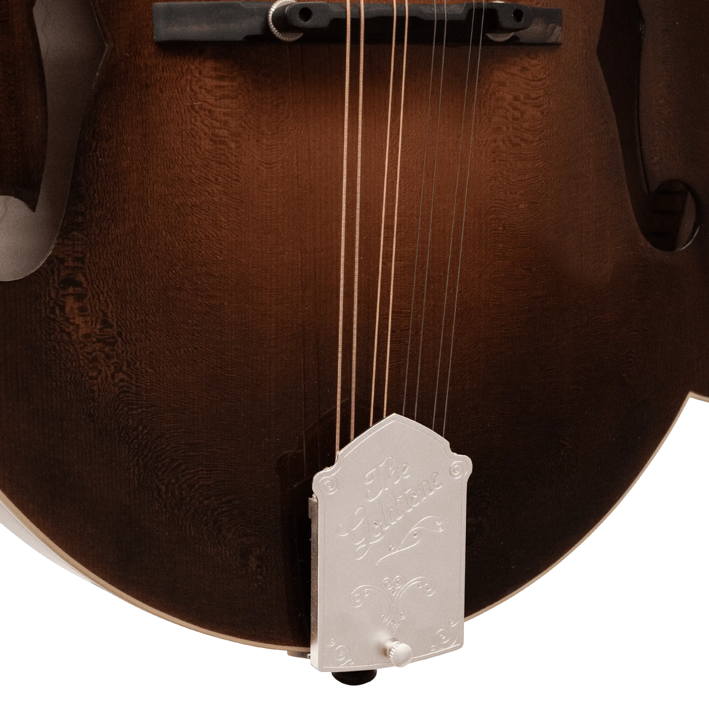 *Pre-Order Deposit ONLY* Gold Tone Grandmaster Mandolin Elite - Vintage Leather Finish