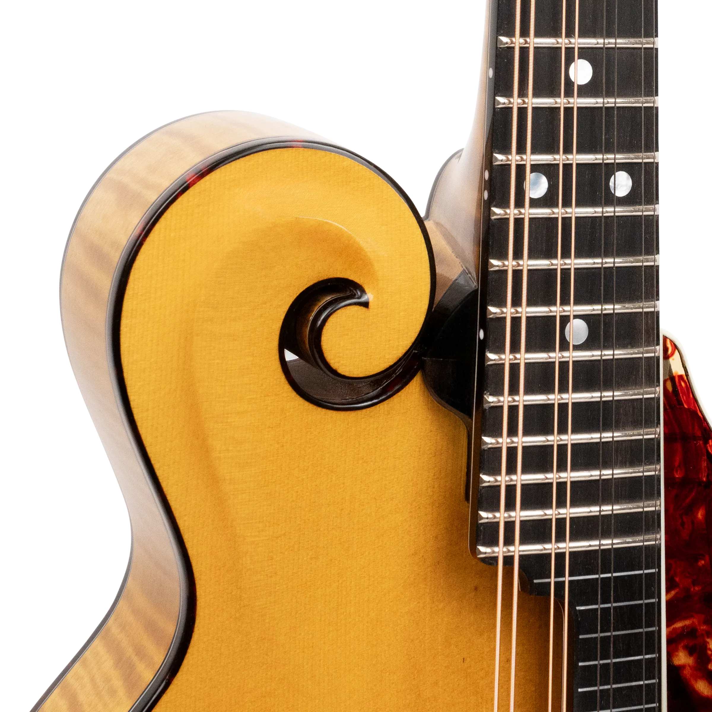 *Pre-Order Deposit ONLY* Gold Tone Grandmaster Mandolin Elite - Honey Amber Finish