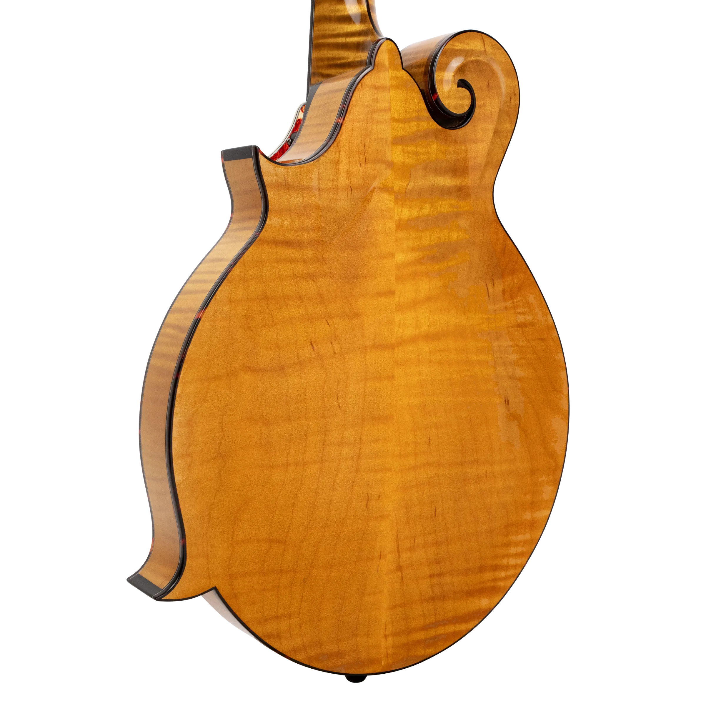 *Pre-Order Deposit ONLY* Gold Tone Grandmaster Mandolin Elite - Honey Amber Finish