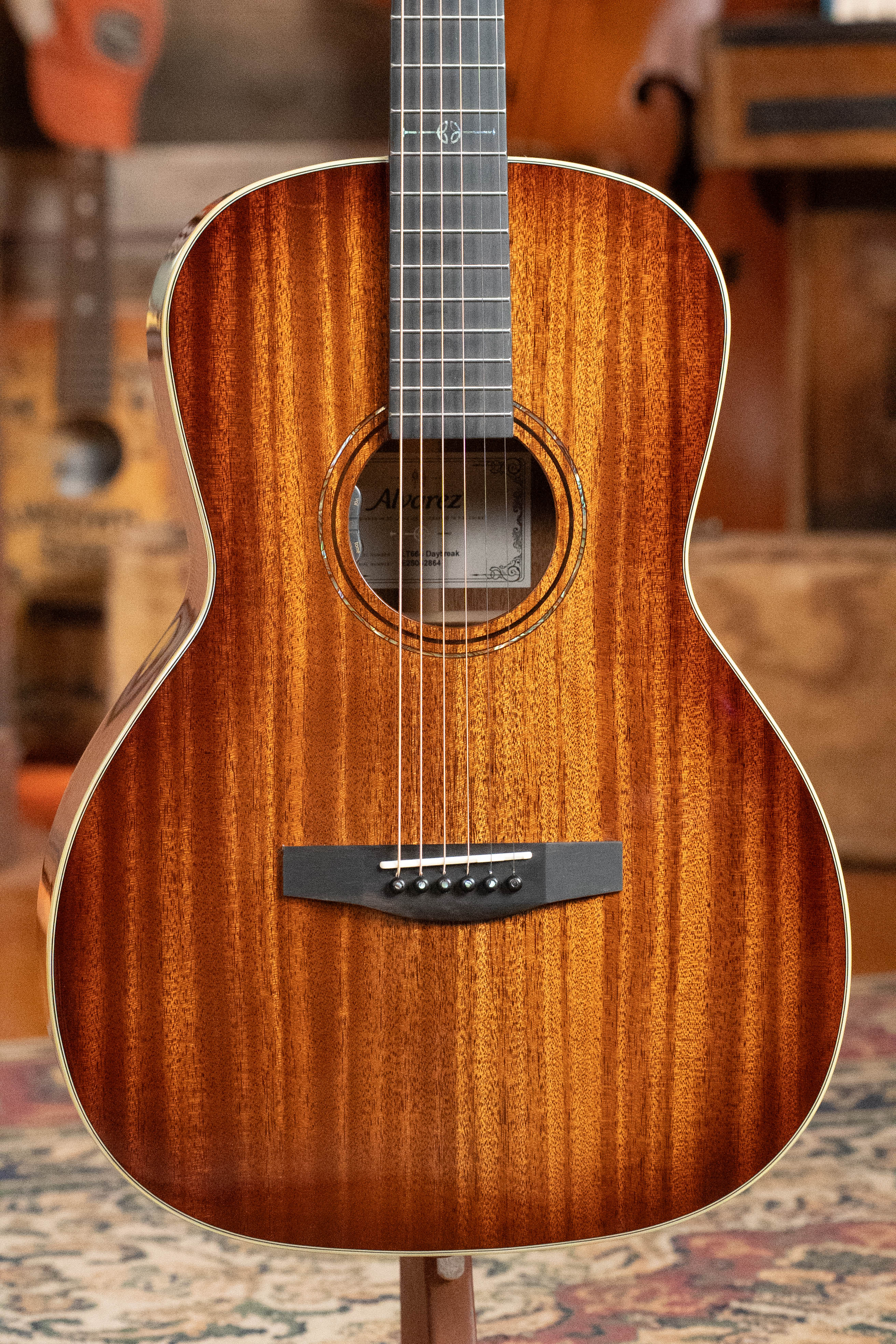 Alvarez Laureate Series LT66e Daybreak All Mahogany OOO Guitar w/LR Baggs Hifi Pickup #2864