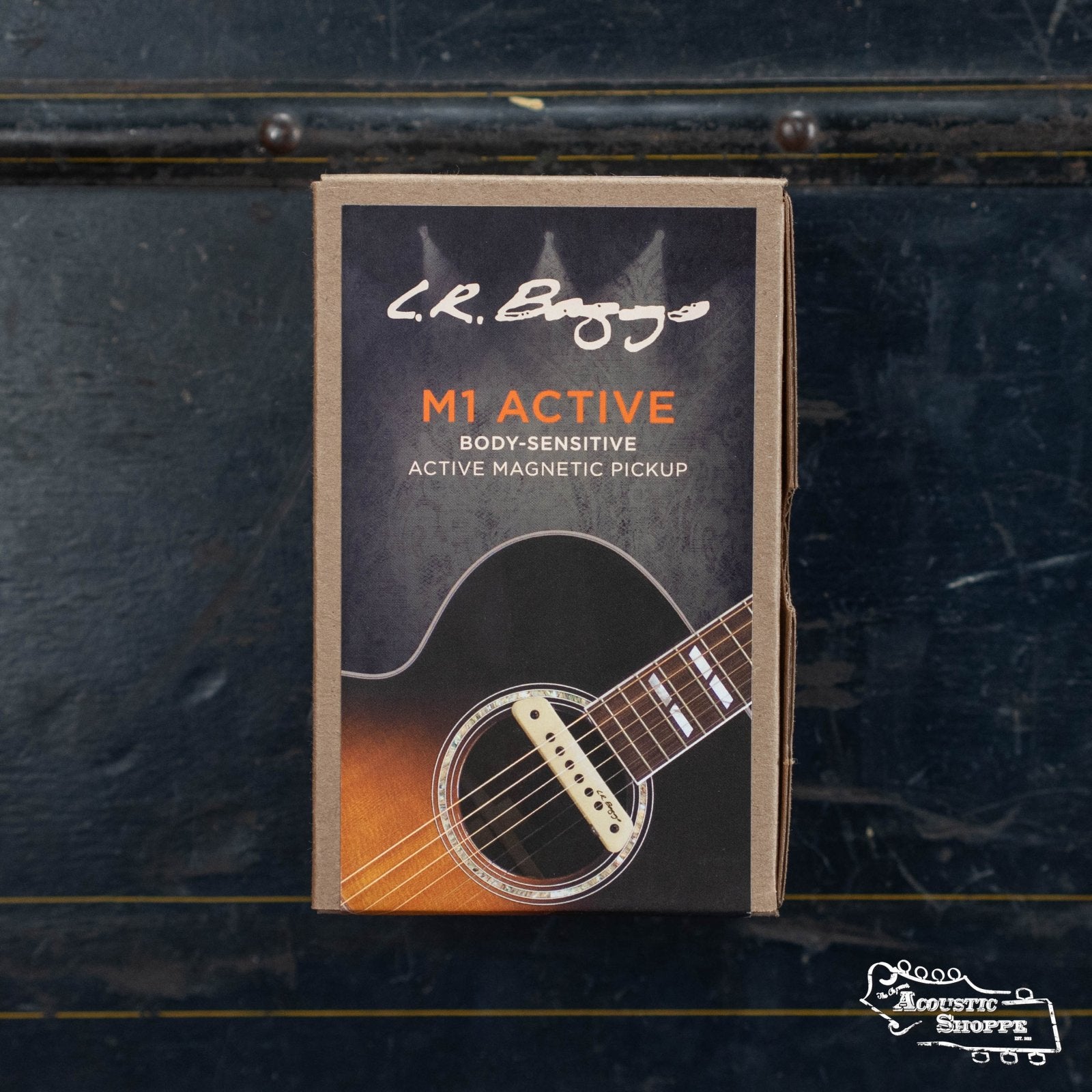 L.R. Baggs M1 Active Magnetic Pickup