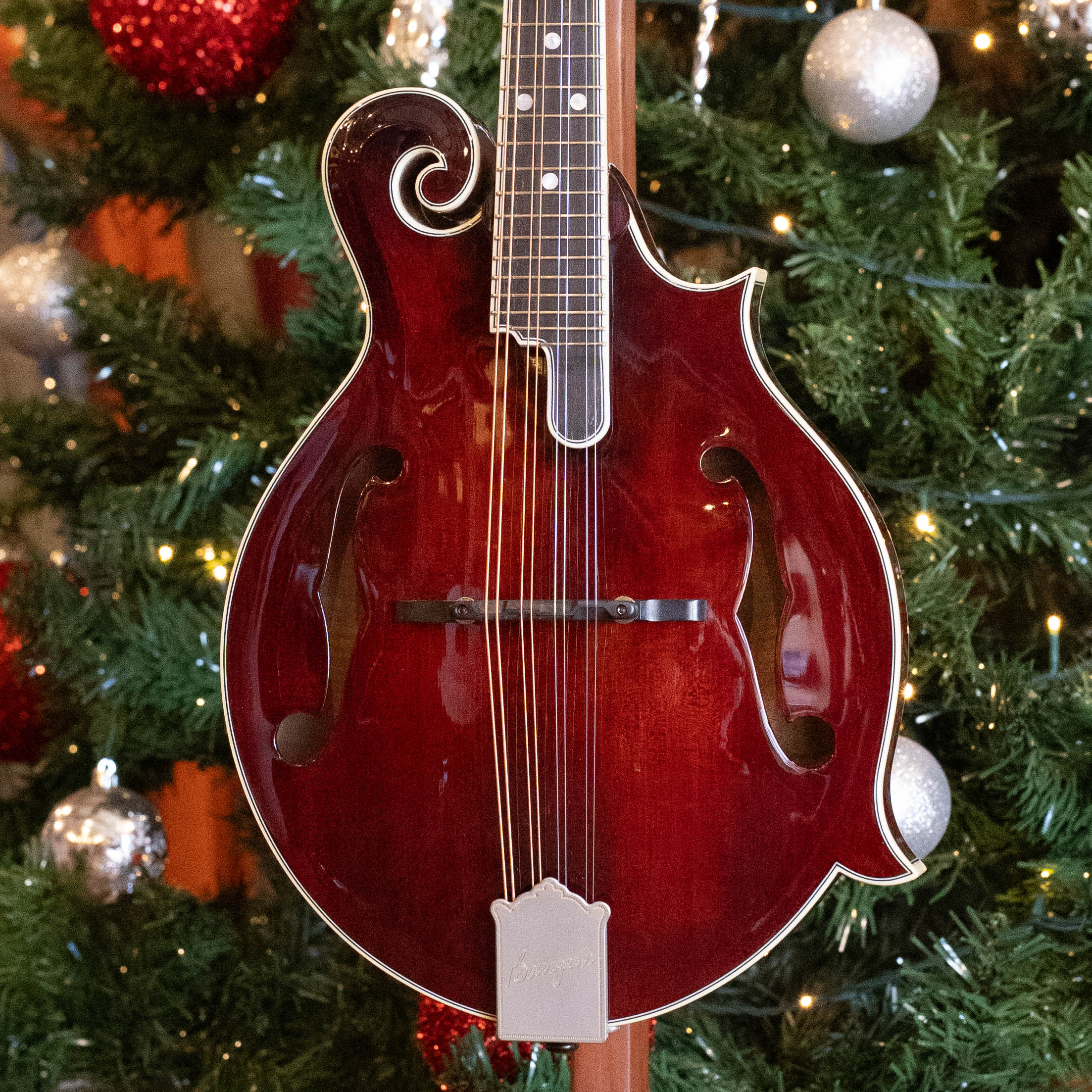 *Pre-Order Deposit ONLY* Bourgeois M5-F-CR Aged-Tone Adirondack/Maple Cordovan Red F-Style Mandolin