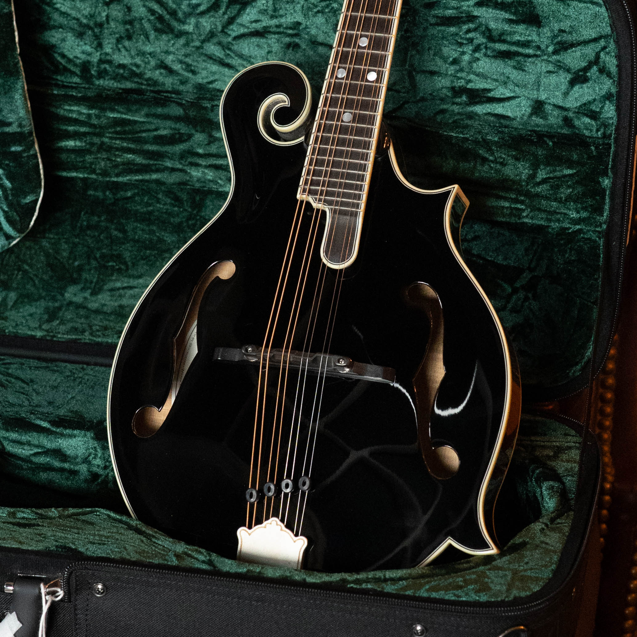 Bourgeois Limited Chocolate M5-F-BT Aged-Tone Adirondack/Maple Black Top F-Style Mandolin #6108