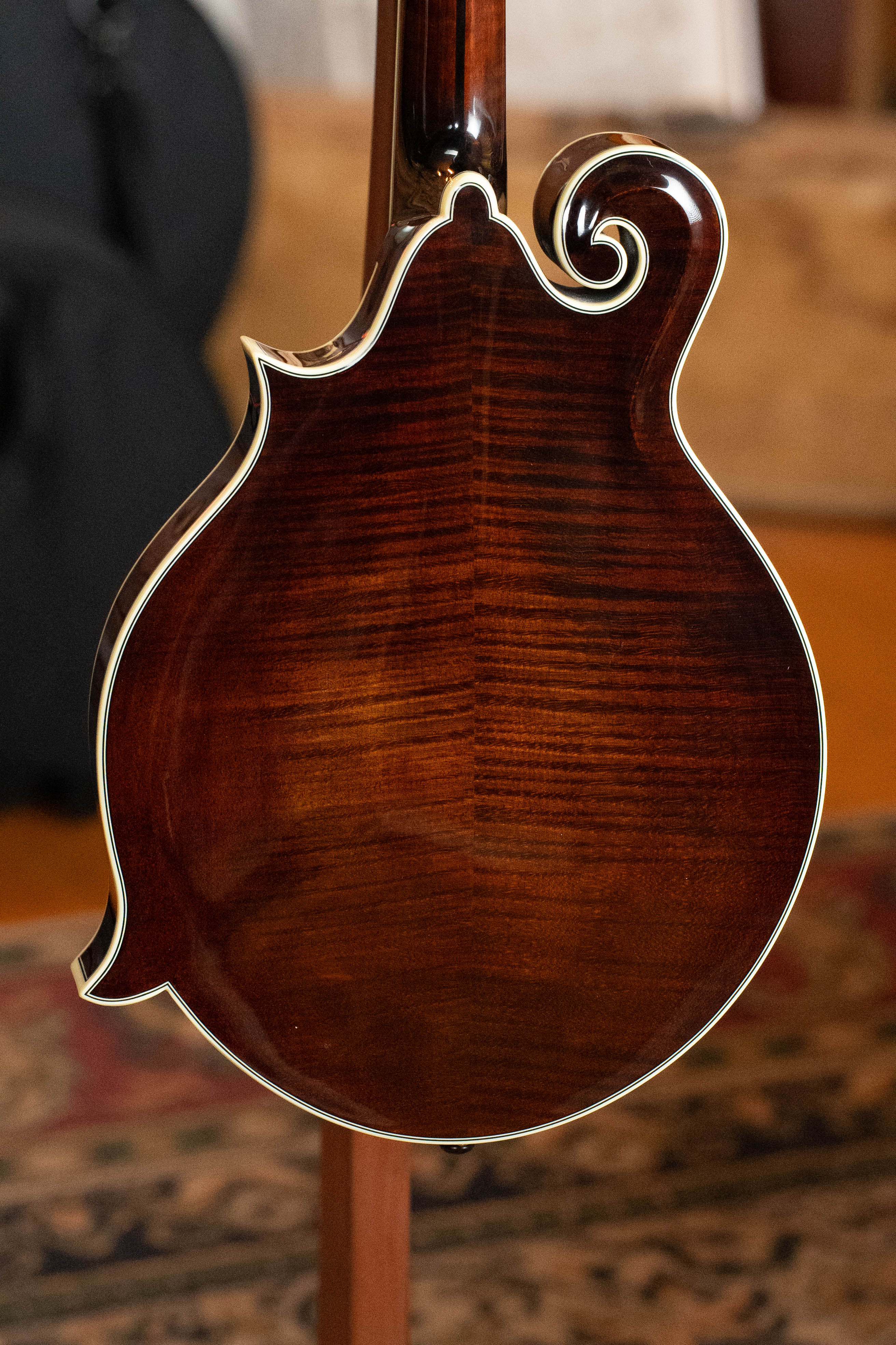 Bourgeois Limited Chocolate M5-F-BT Aged-Tone Adirondack/Maple Black Top F-Style Mandolin #6108