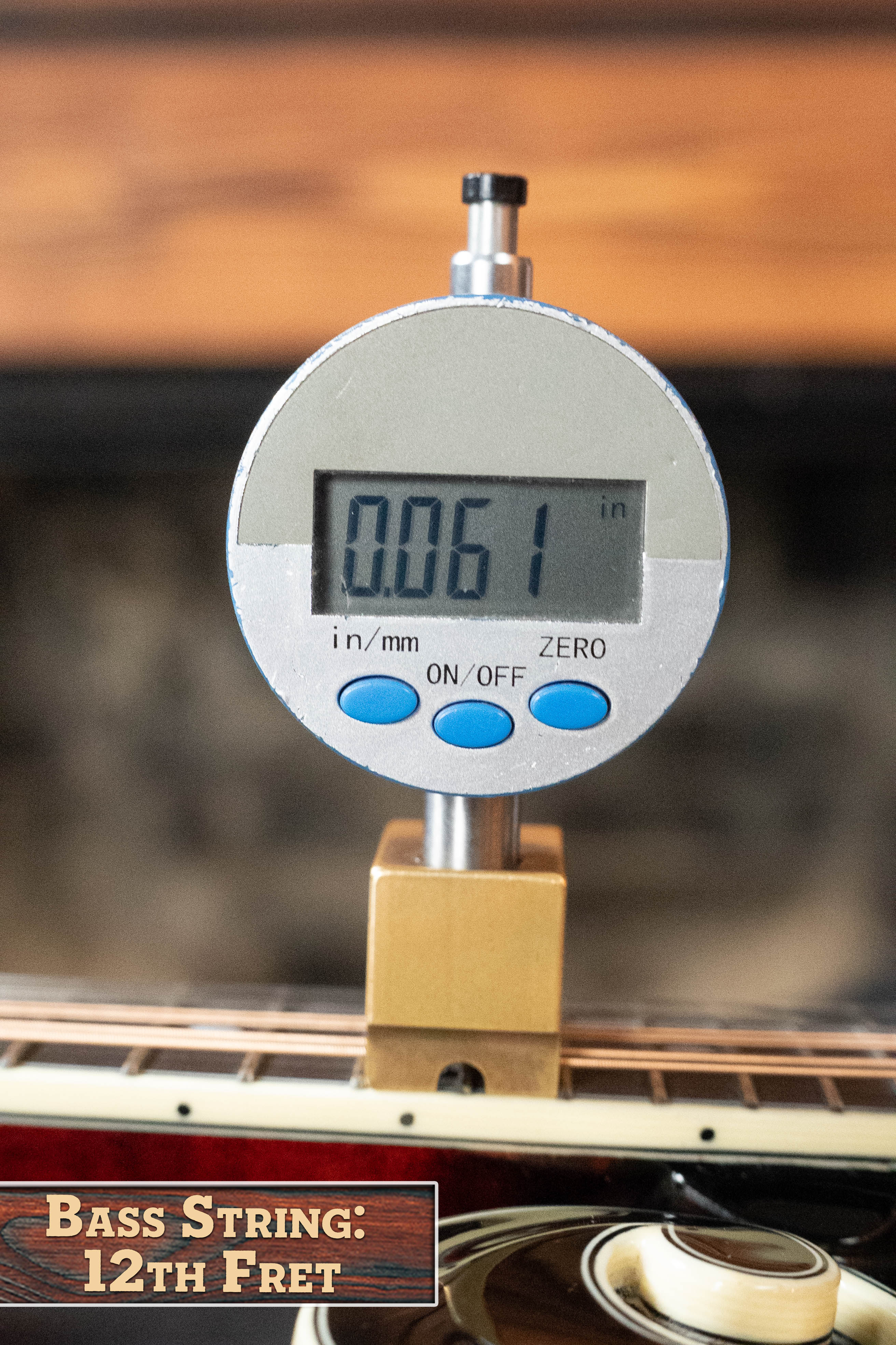 Bourgeois M5-F-BT Aged-Tone Adirondack/Maple Black Top F-Style Mandolin #6114