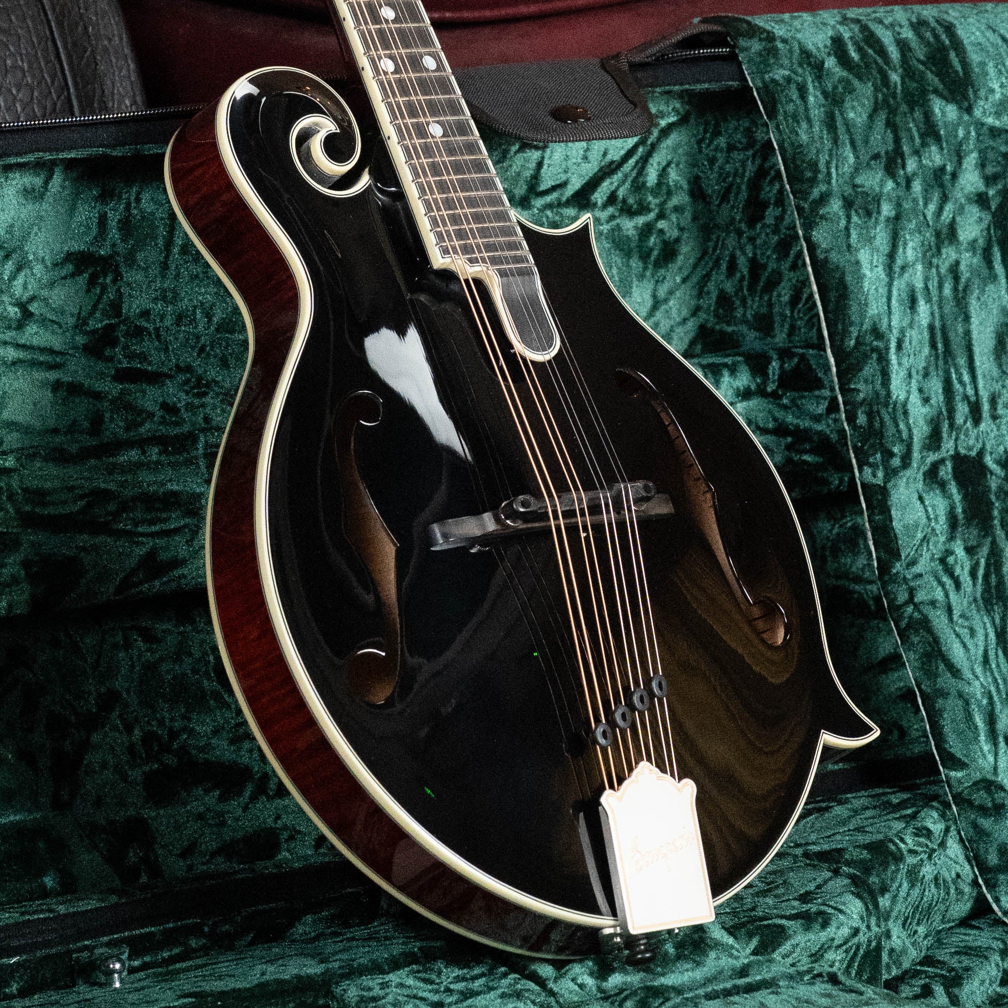 Bourgeois M5-F-BT Aged-Tone Adirondack/Maple Black Top F-Style Mandolin #6117