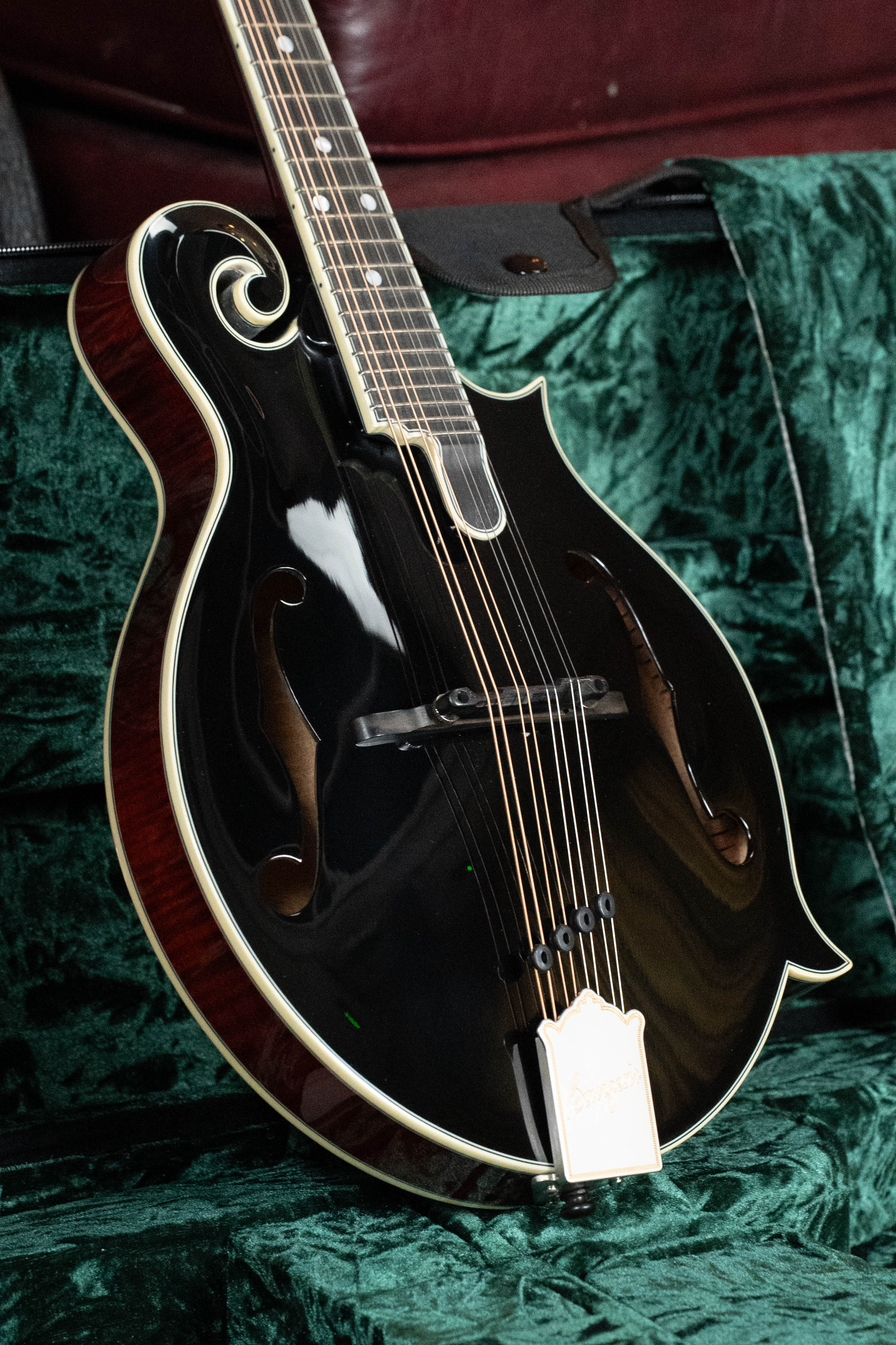 Bourgeois M5-F-BT Aged-Tone Adirondack/Maple Black Top F-Style Mandolin #6117