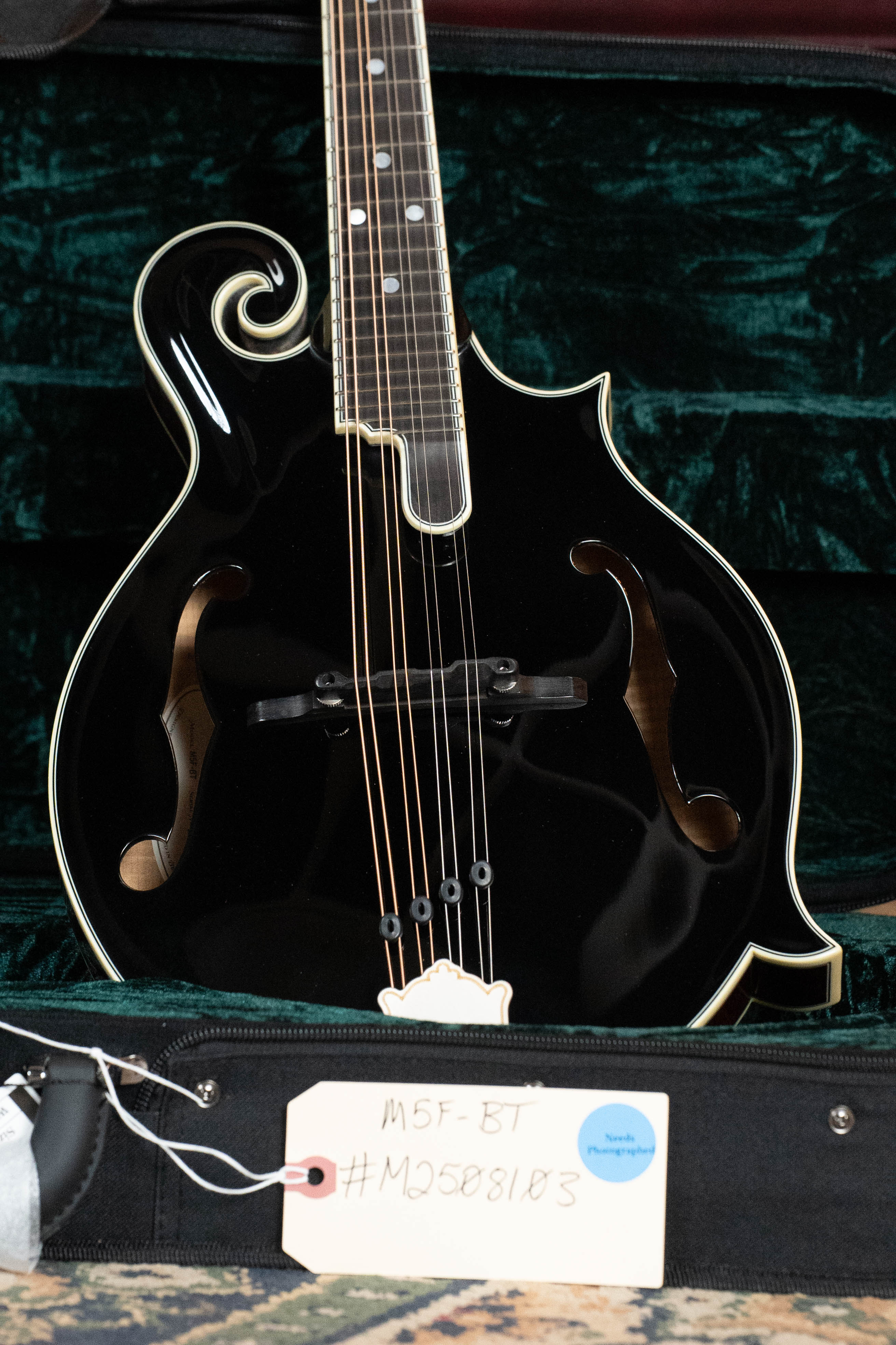 Bourgeois M5-F-BT Aged-Tone Adirondack/Maple Black Top F-Style Mandolin #8103
