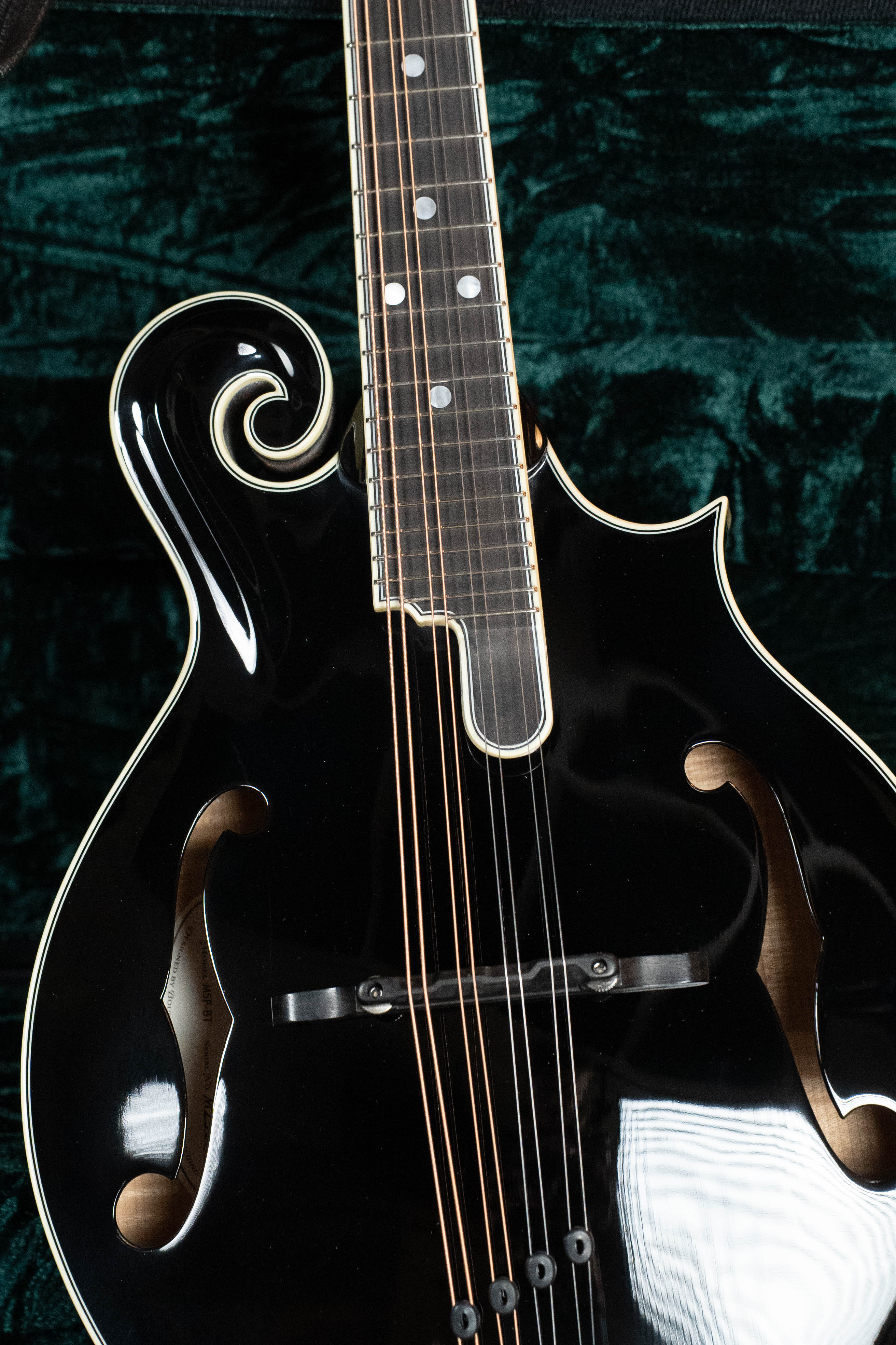 Bourgeois M5-F-BT Aged-Tone Adirondack/Maple Black Top F-Style Mandolin #8103