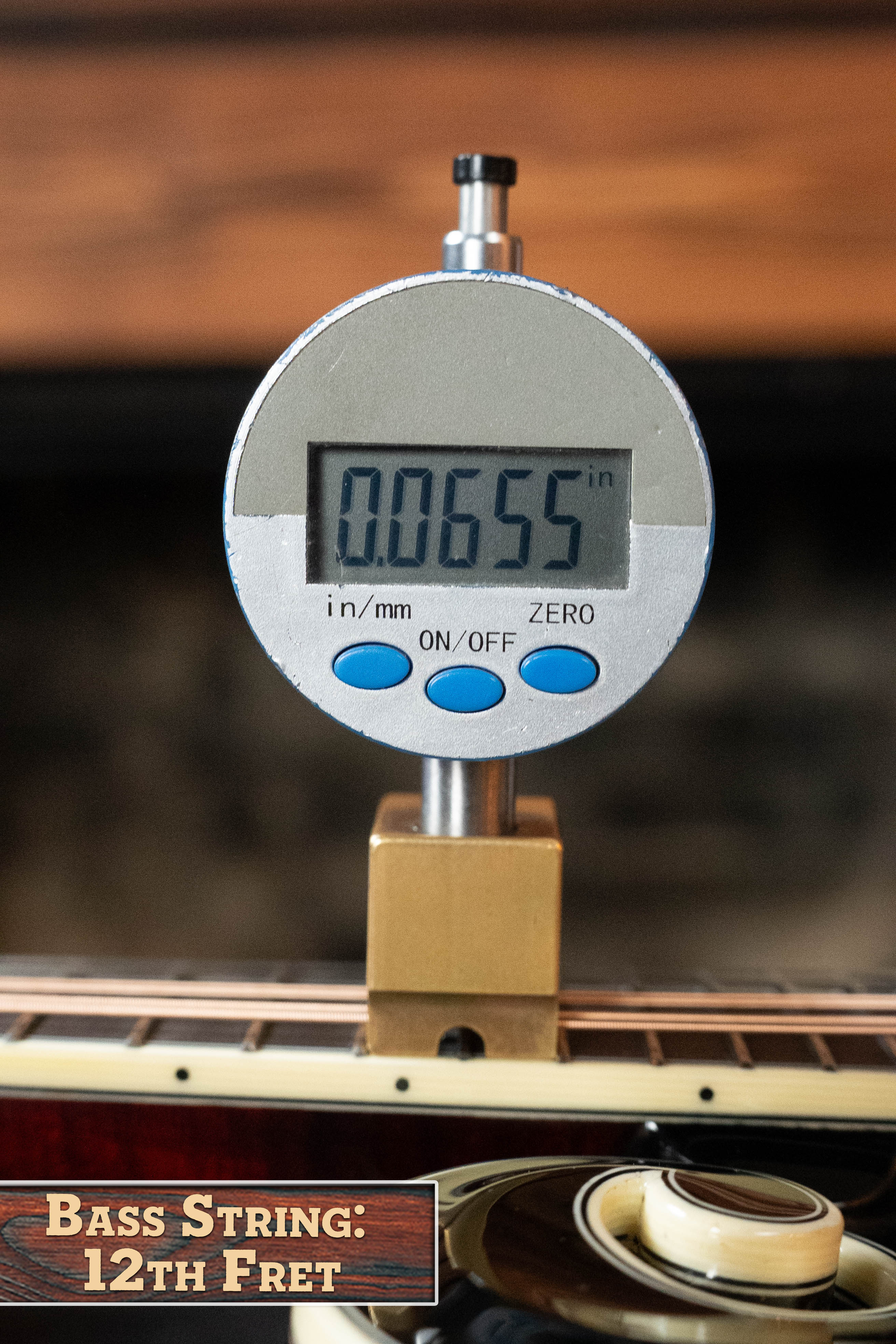 Bourgeois M5-F-BT Aged-Tone Adirondack/Maple Black Top F-Style Mandolin #8103