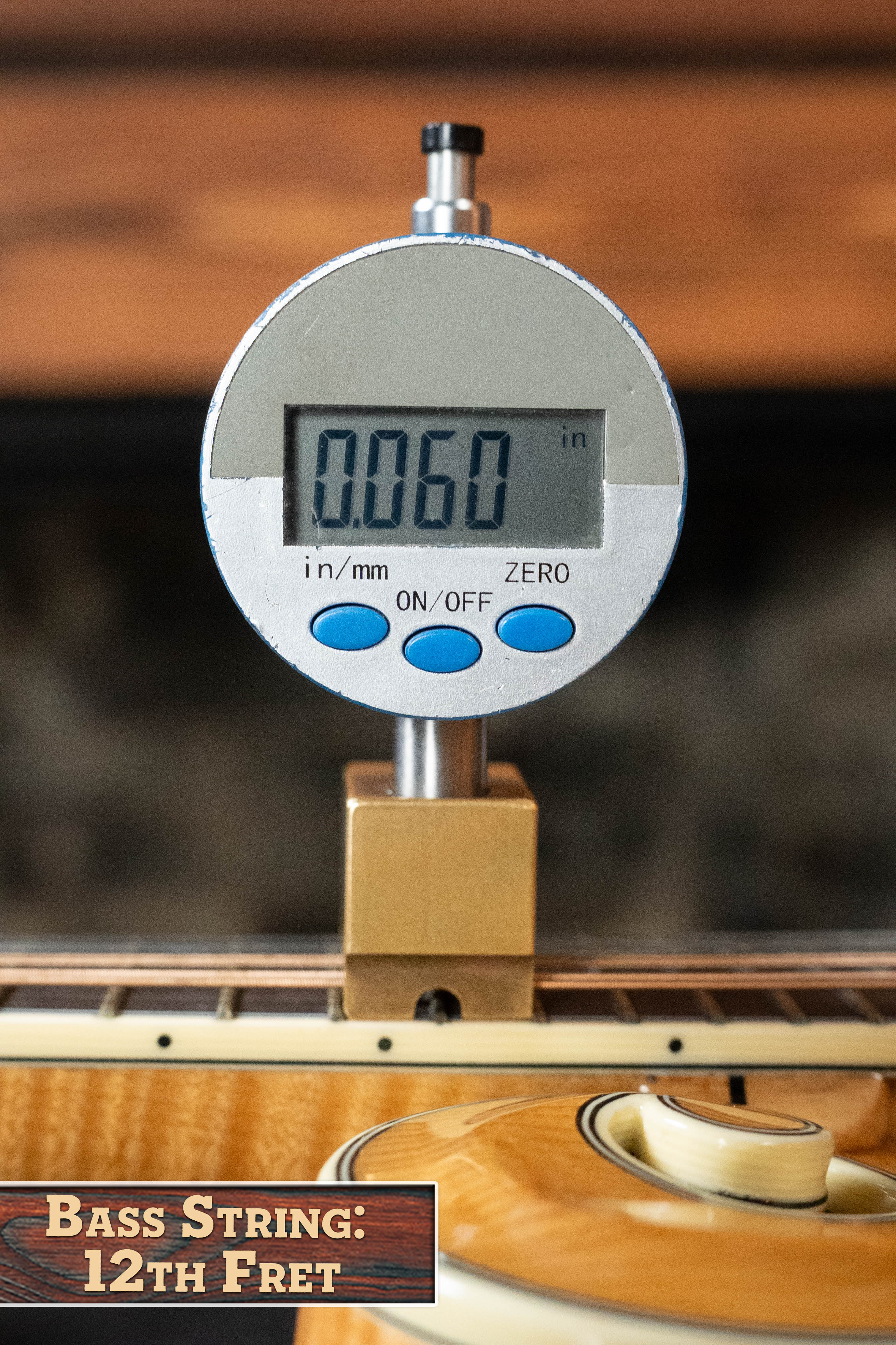 Bourgeois M5-F Aged-Tone Adirondack/Maple F-Style Mandolin #6127