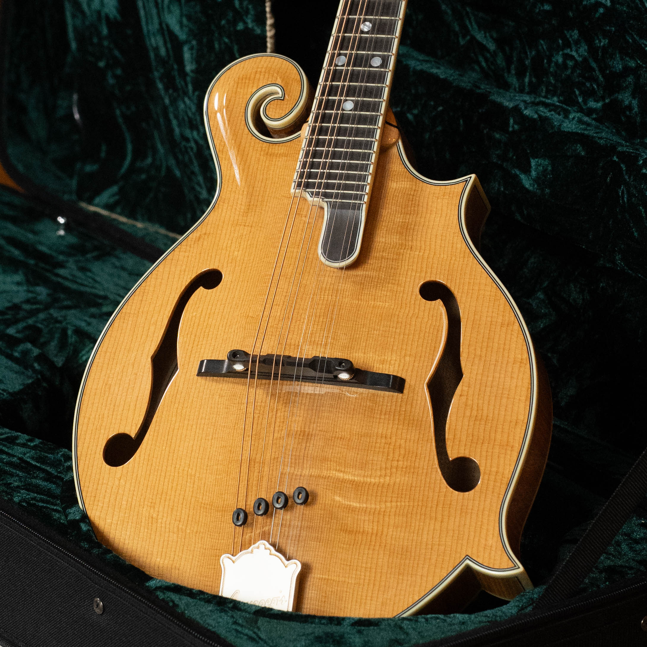 Bourgeois M5-F Aged-Tone Adirondack/Maple F-Style Mandolin #8111