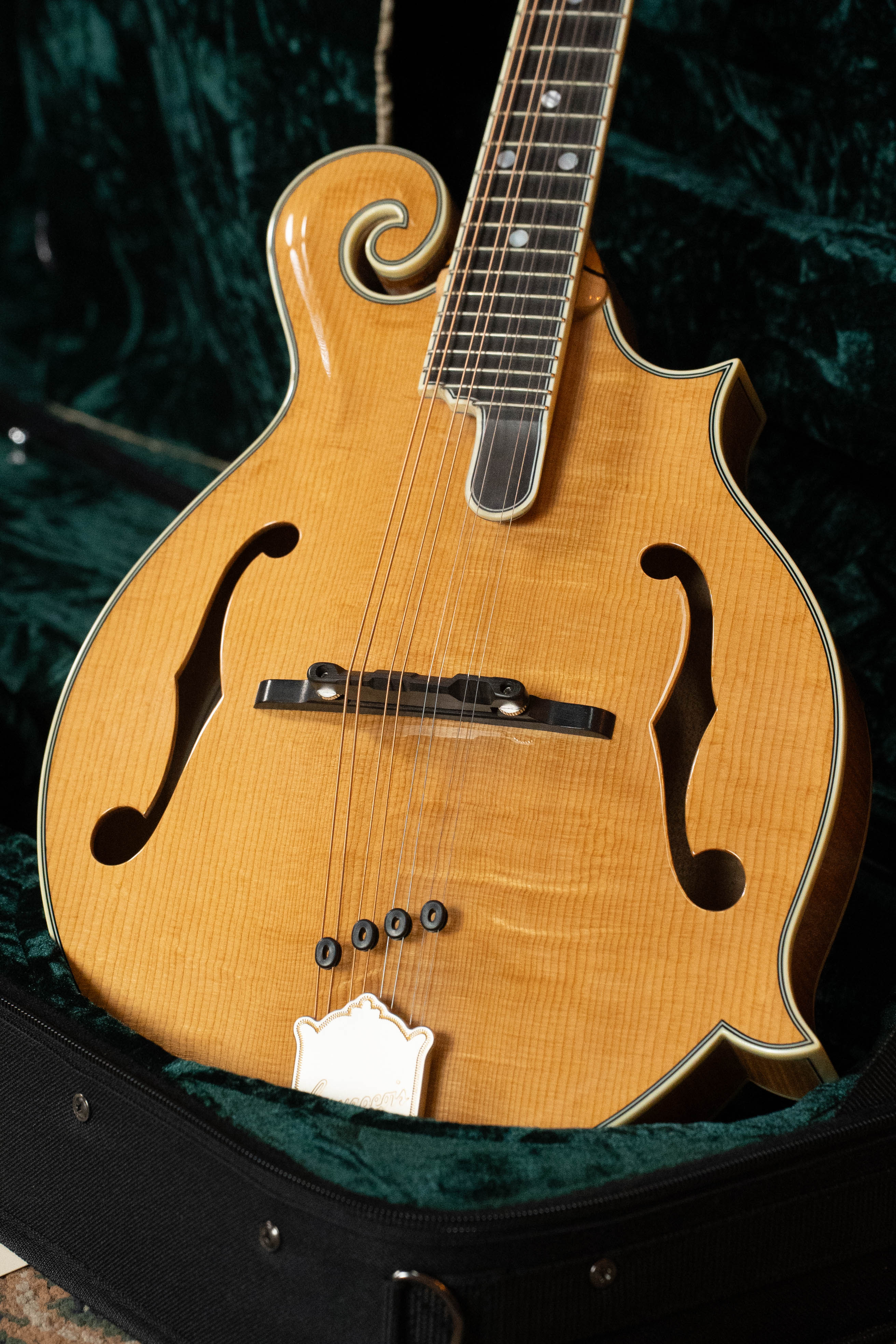 Bourgeois M5-F Aged-Tone Adirondack/Maple F-Style Mandolin #8111