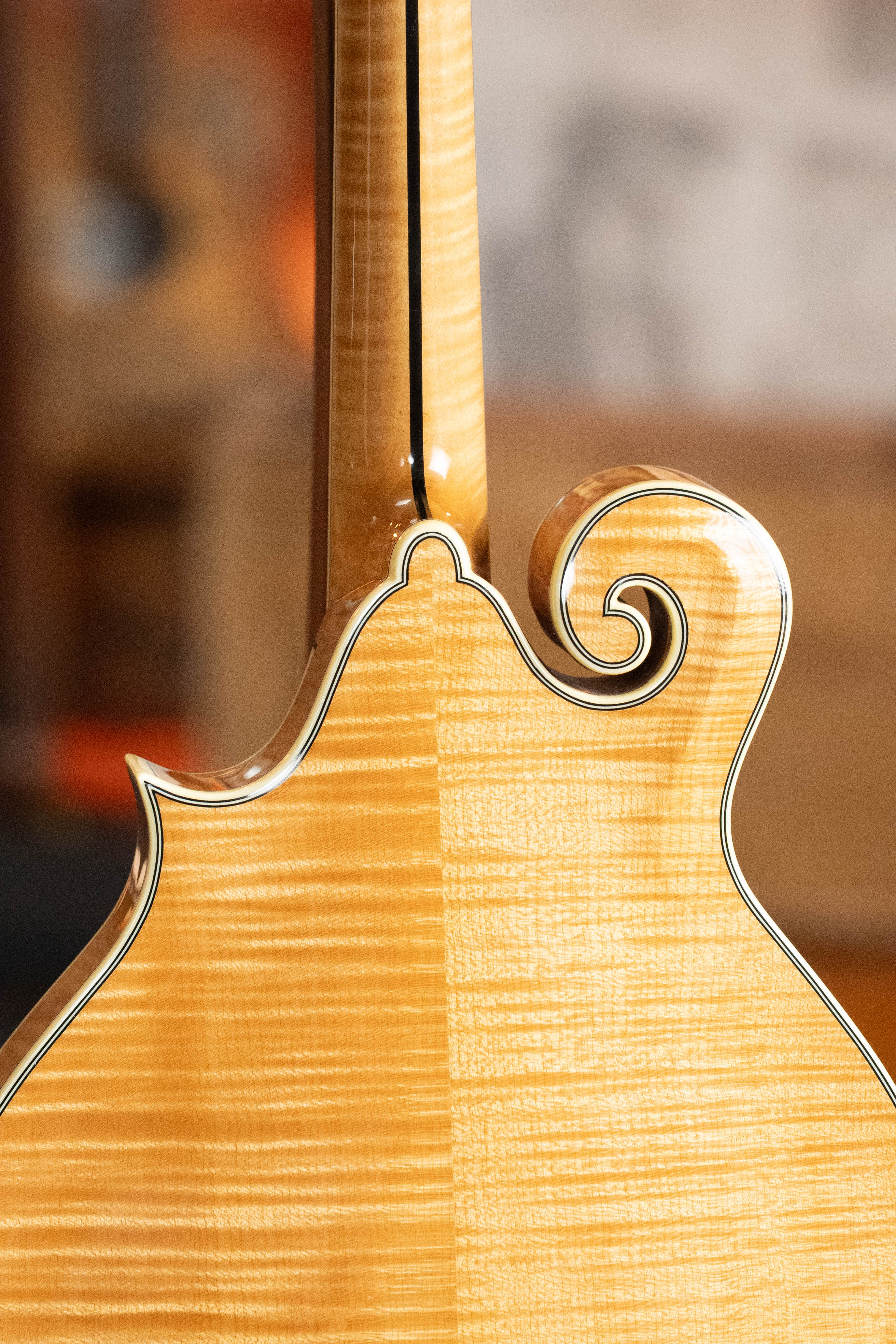 Bourgeois M5-F Aged-Tone Adirondack/Maple F-Style Mandolin #9017