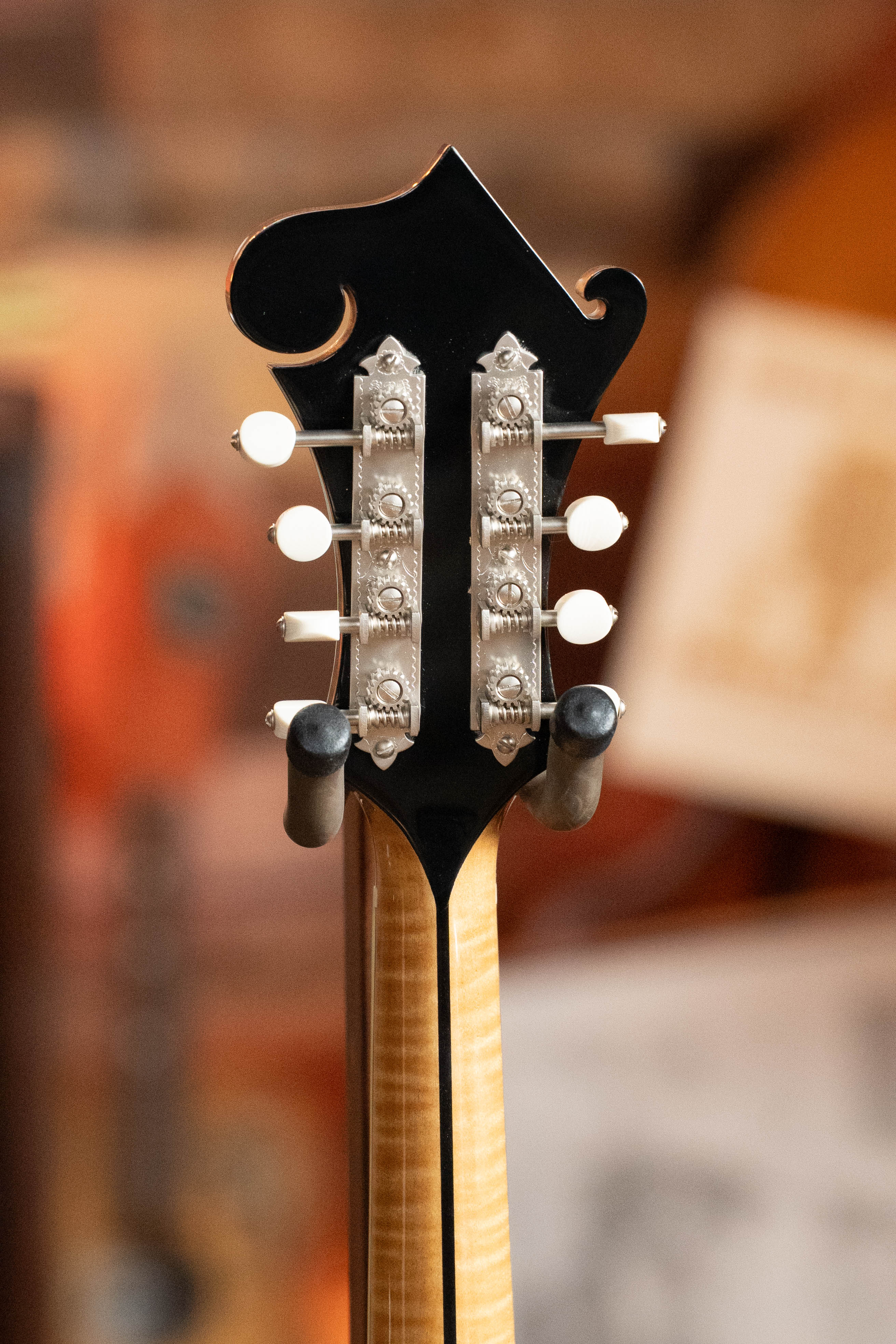 Bourgeois M5-F Aged-Tone Adirondack/Maple F-Style Mandolin #9017