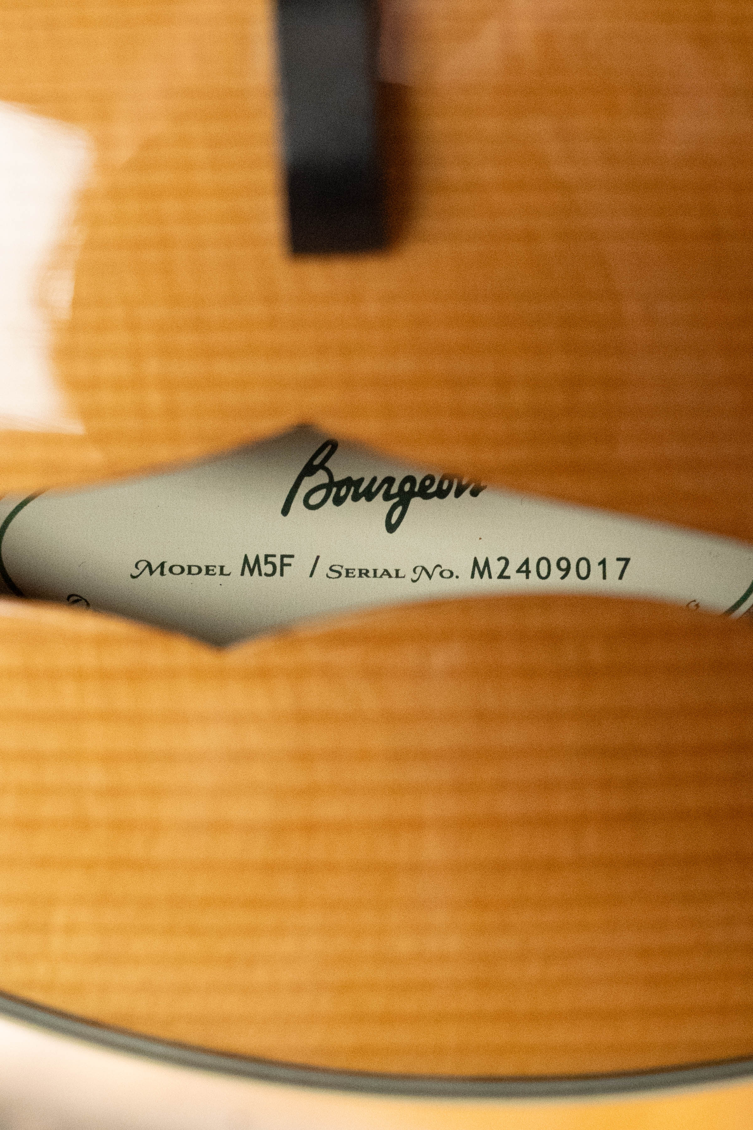 Bourgeois M5-F Aged-Tone Adirondack/Maple F-Style Mandolin #9017