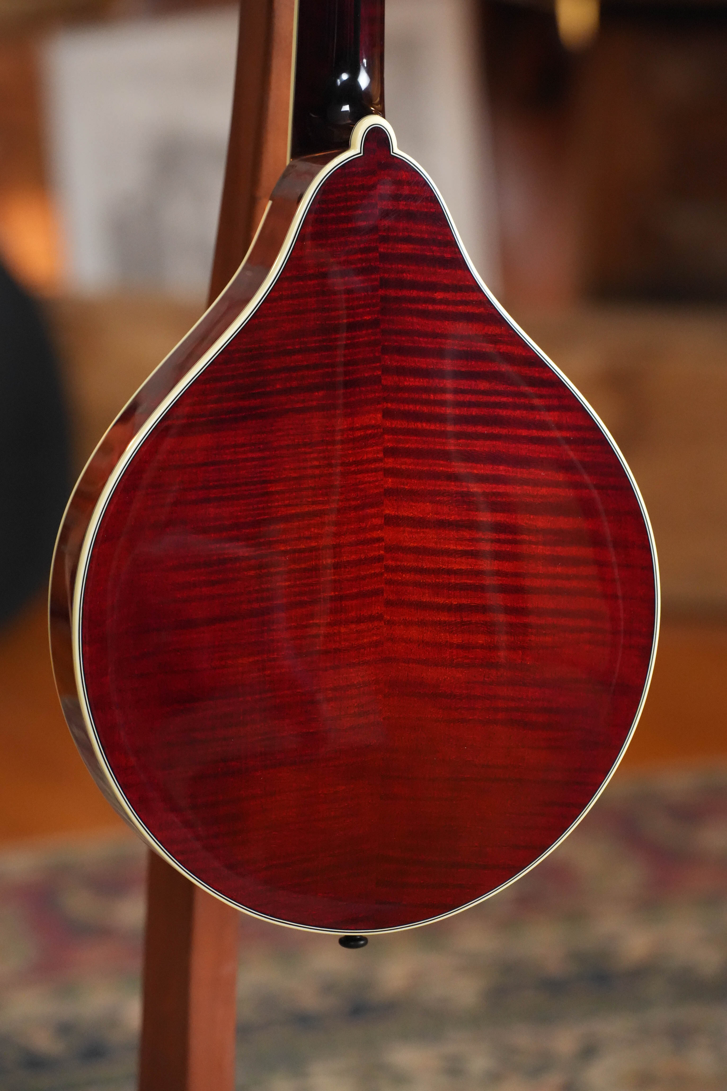 Bourgeois TAS Exclusive M5-A-CR Aged-Tone Adirondack/Maple Cordovan Red A-Style Mandolin #2119