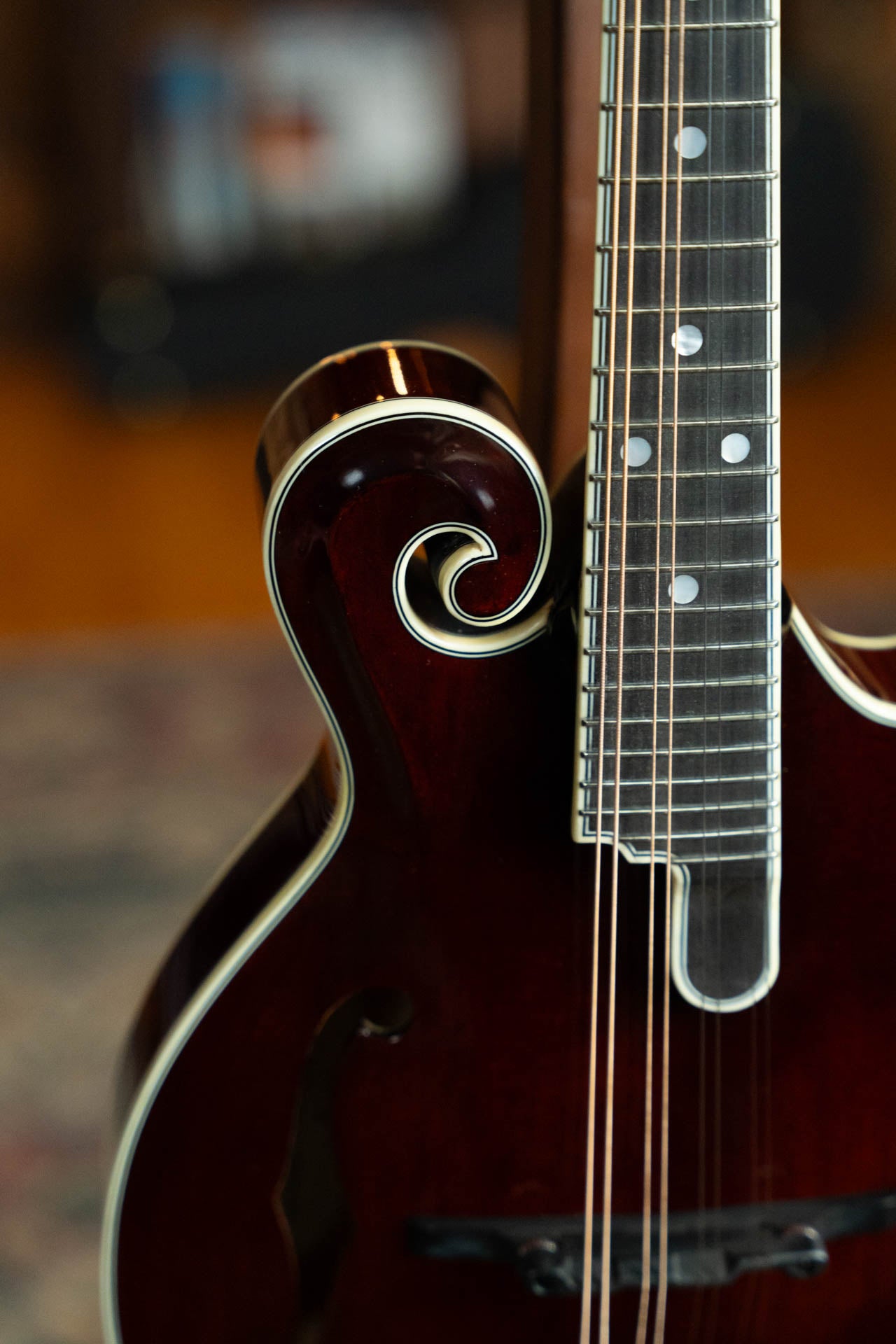 Bourgeois TAS Exclusive M5-F-CR Aged-Tone Adirondack/Maple Cordovan Red F-Style Mandolin #2140