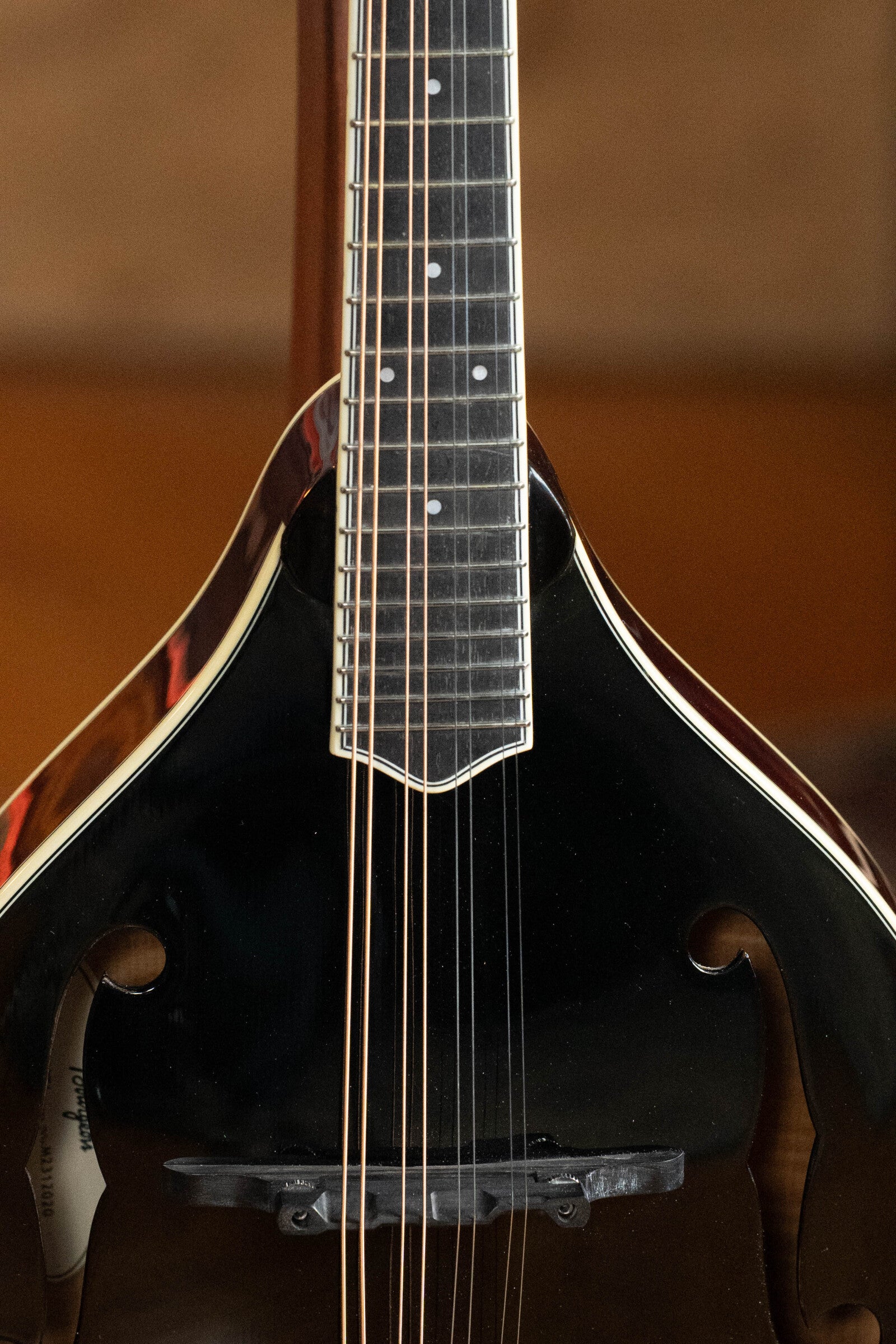 Close-up of the Bourgeois M5-A-BT Aged-Tone Black Top A-Style Mandolin #2020, showing its body, neck, strings, f-shaped sound holes, and cream binding against a softly blurred warm brown background.