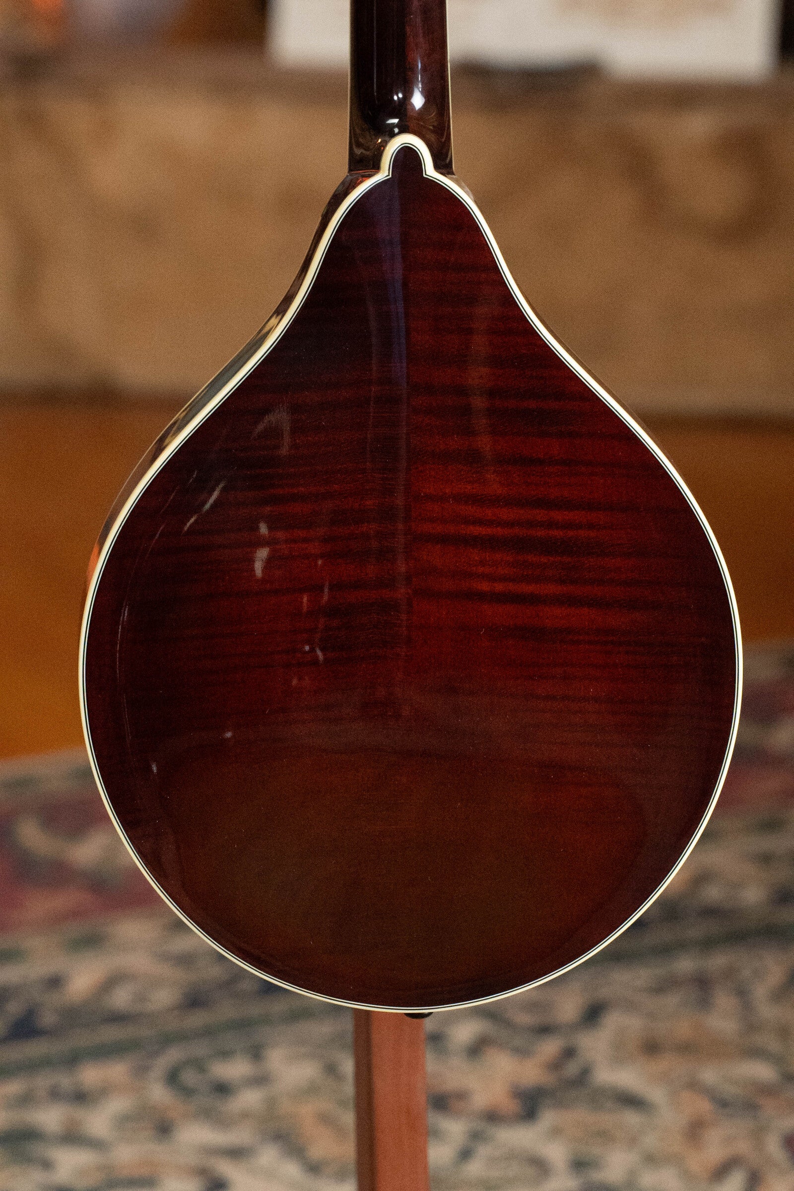 A close-up of the glossy dark wood back of the Bourgeois M5-A-BT Aged-Tone Black Top A-Style Mandolin #2020, featuring cream-colored edging, set against a softly blurred indoor background.