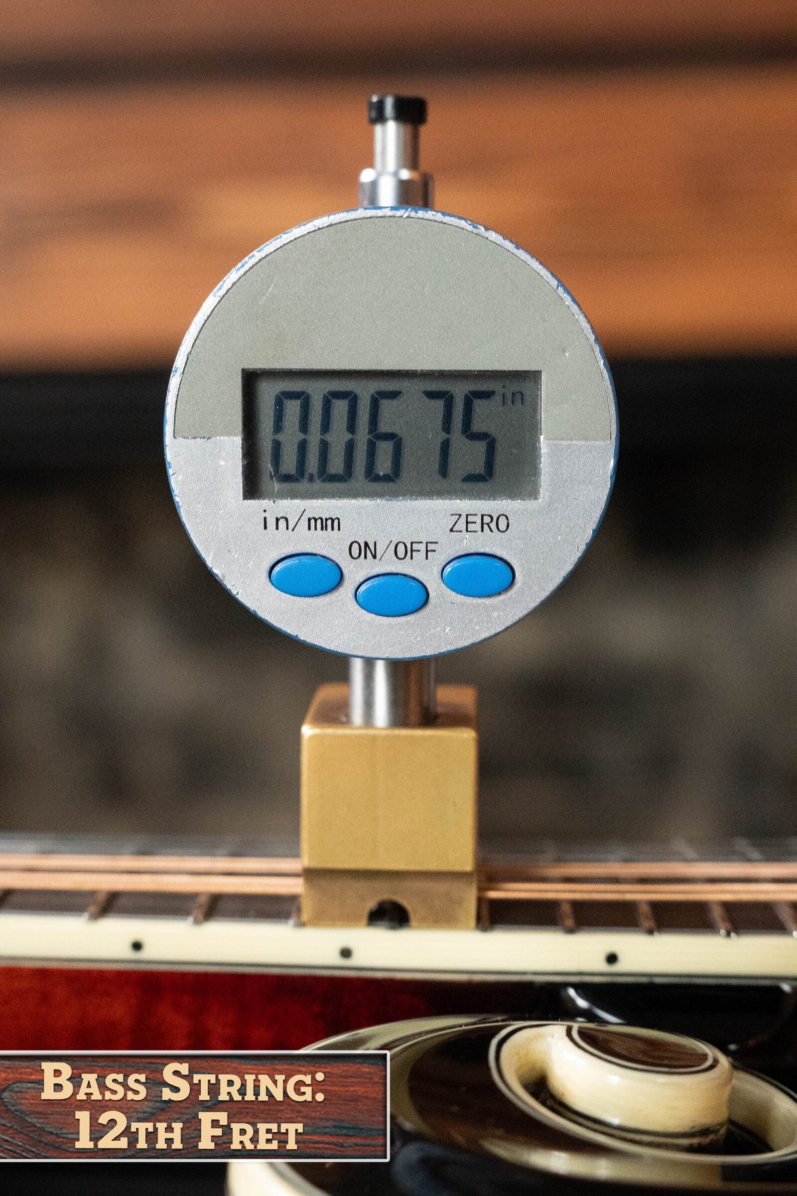 Bourgeois M5-F-BT Aged-Tone Adirondack/Maple Black Top F-Style Mandolin #6111