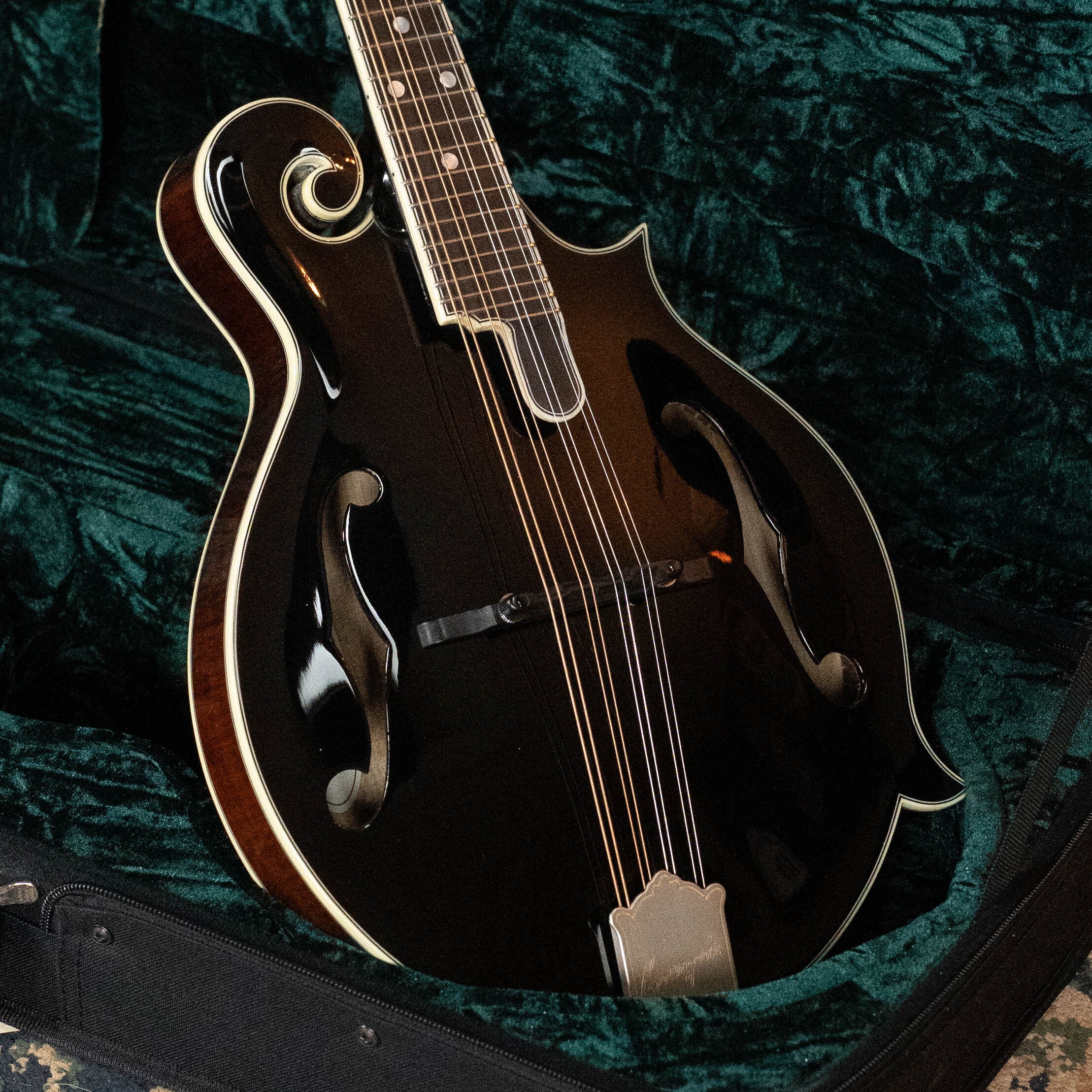 Bourgeois Limited Chocolate M5-F-BT Aged-Tone Adirondack/Maple Black Top F-Style Mandolin #6113