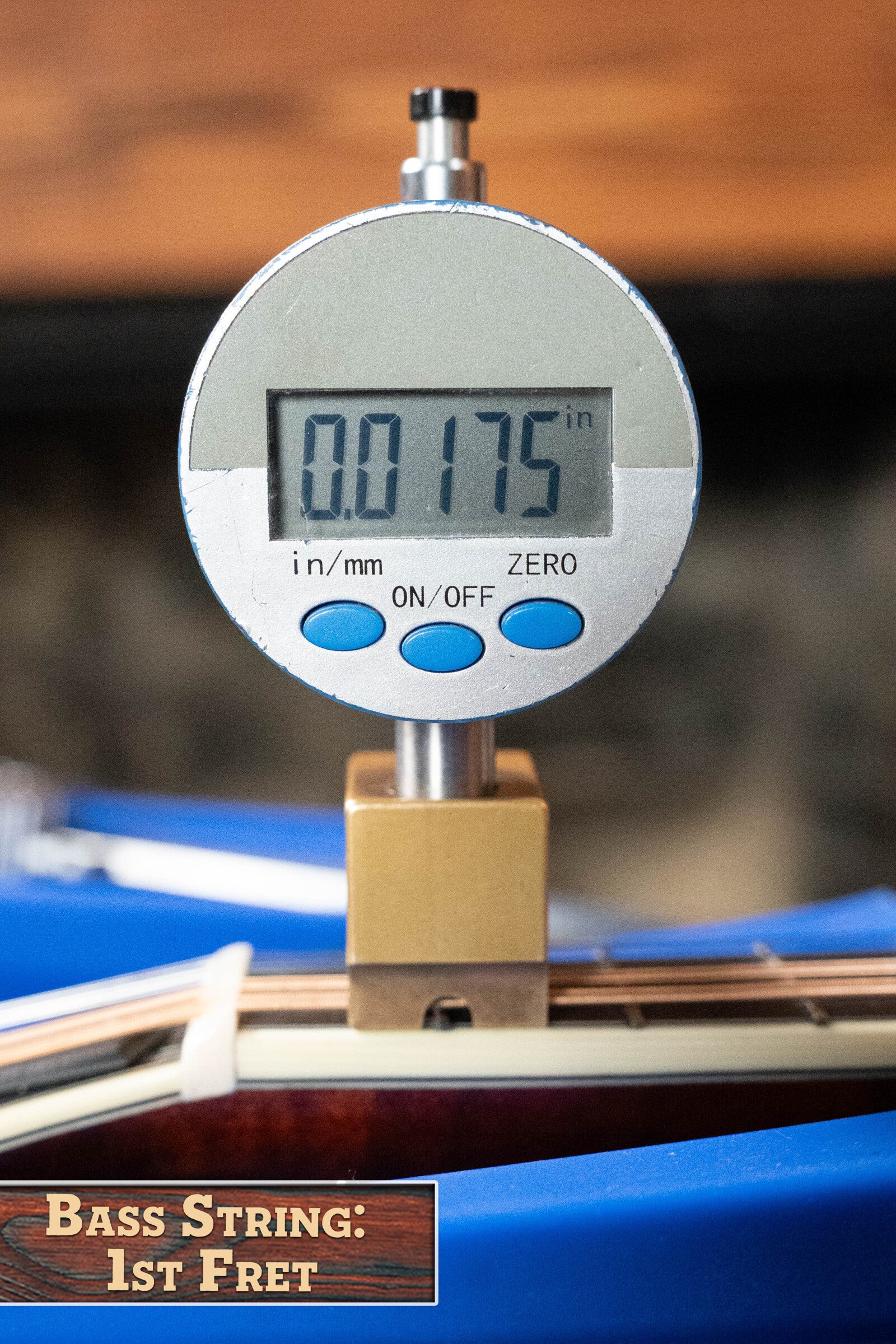 Bourgeois Limited Chocolate M5-F-BT Aged-Tone Adirondack/Maple Black Top F-Style Mandolin #6113