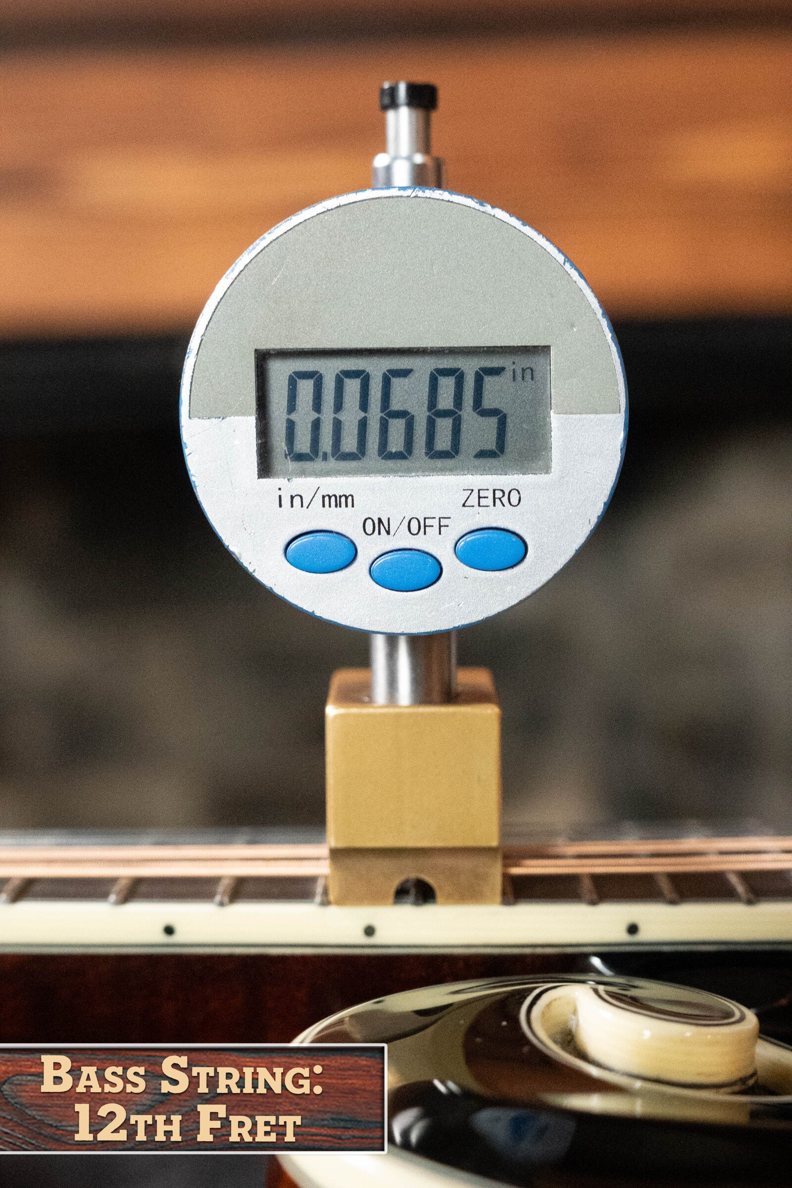 Bourgeois Limited Chocolate M5-F-BT Aged-Tone Adirondack/Maple Black Top F-Style Mandolin #6113