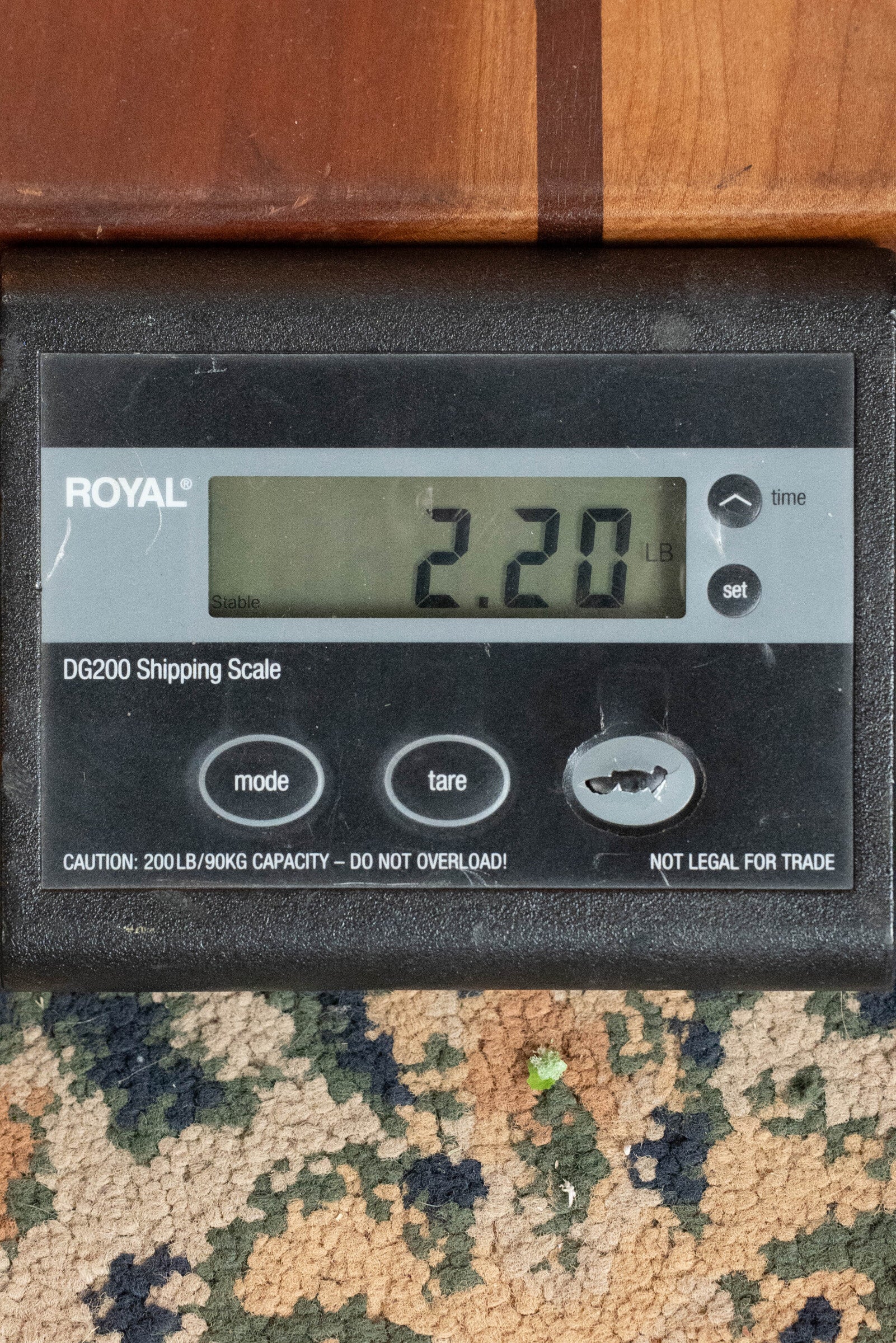 Bourgeois M5-F-BT Aged-Tone Adirondack/Maple Black Top F-Style Mandolin #6115