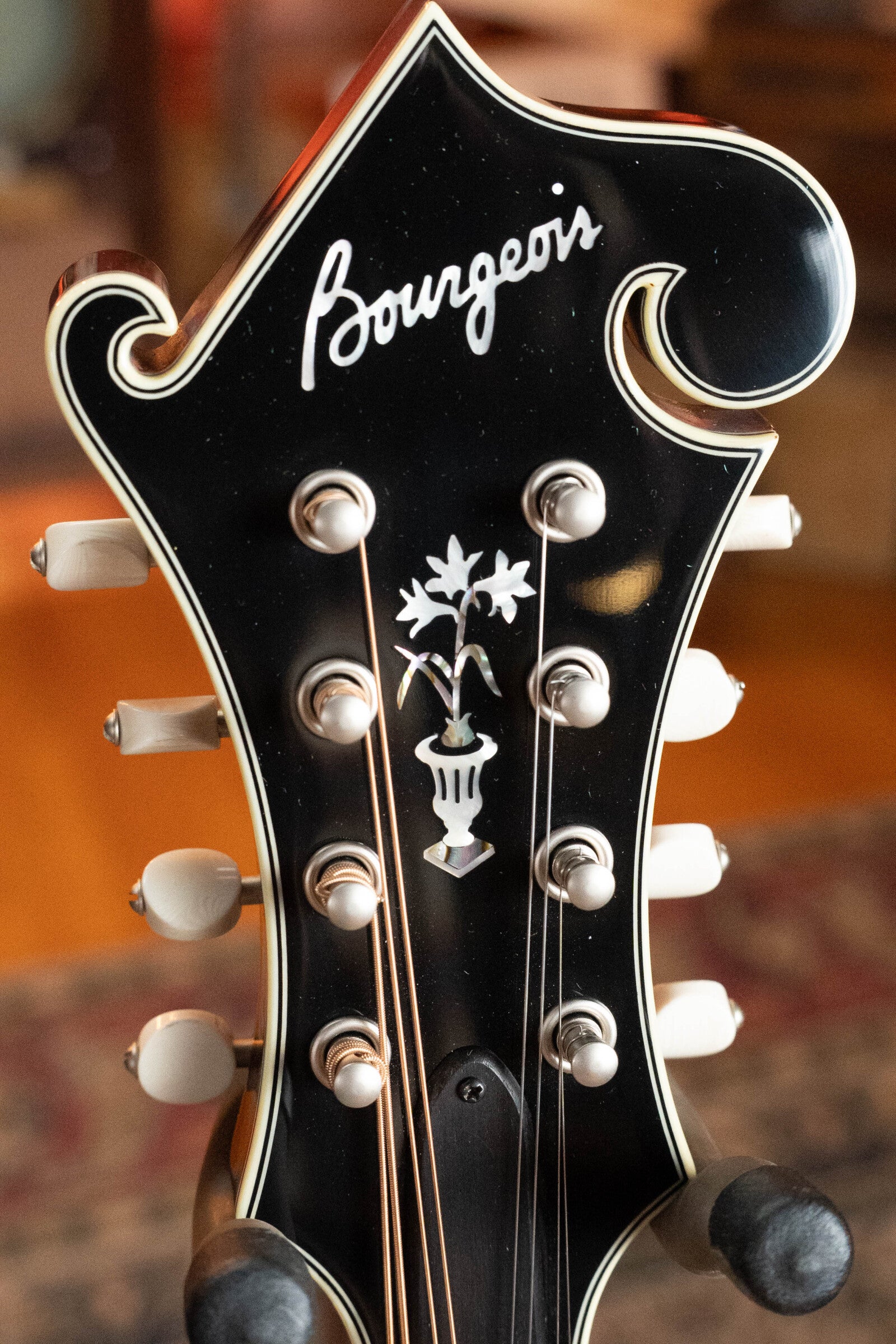 Bourgeois M5-F-BT Aged-Tone Adirondack/Maple Black Top F-Style Mandolin #6115
