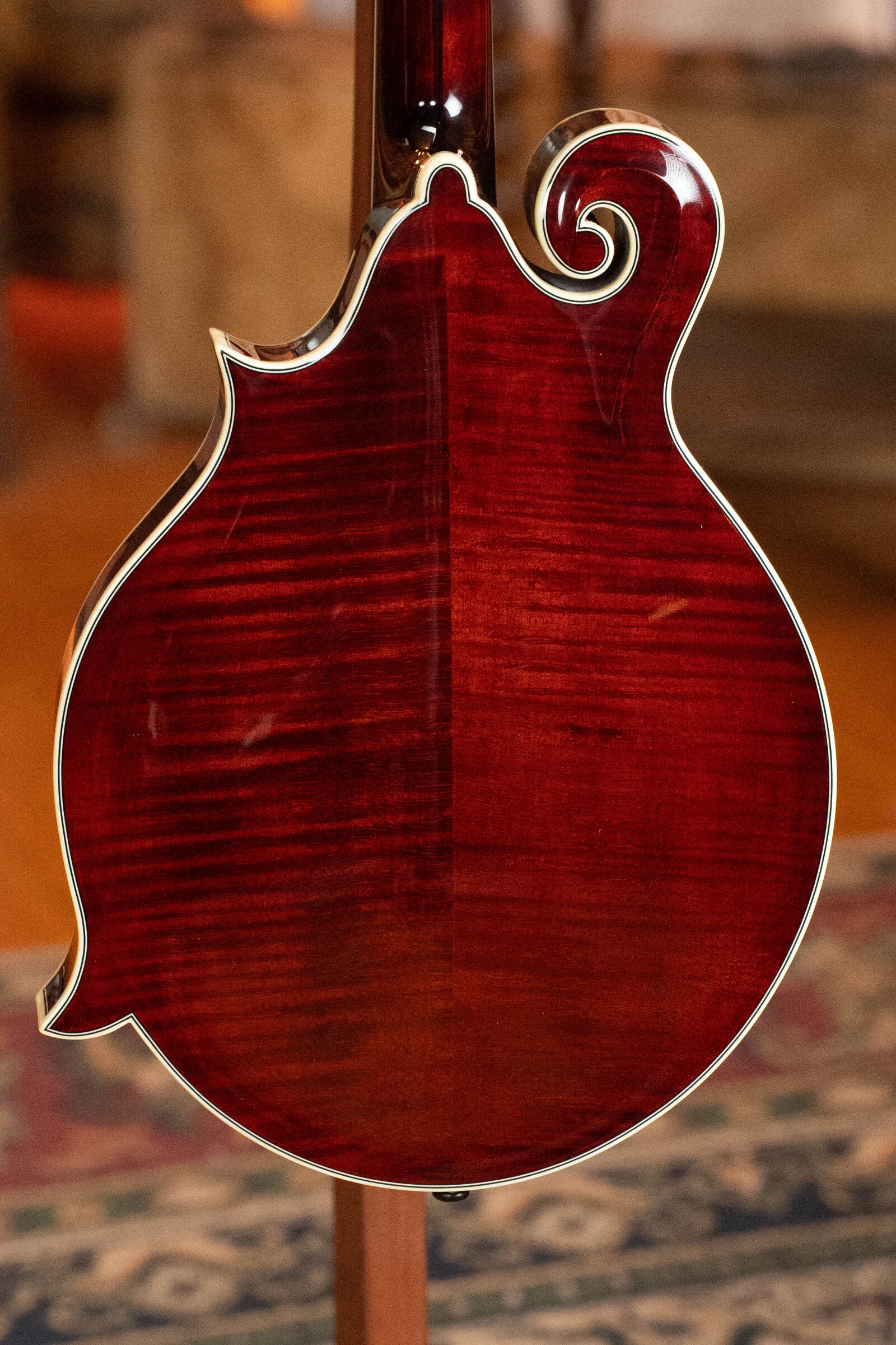 Bourgeois M5-F-BT Aged-Tone Adirondack/Maple Black Top F-Style Mandolin #6115