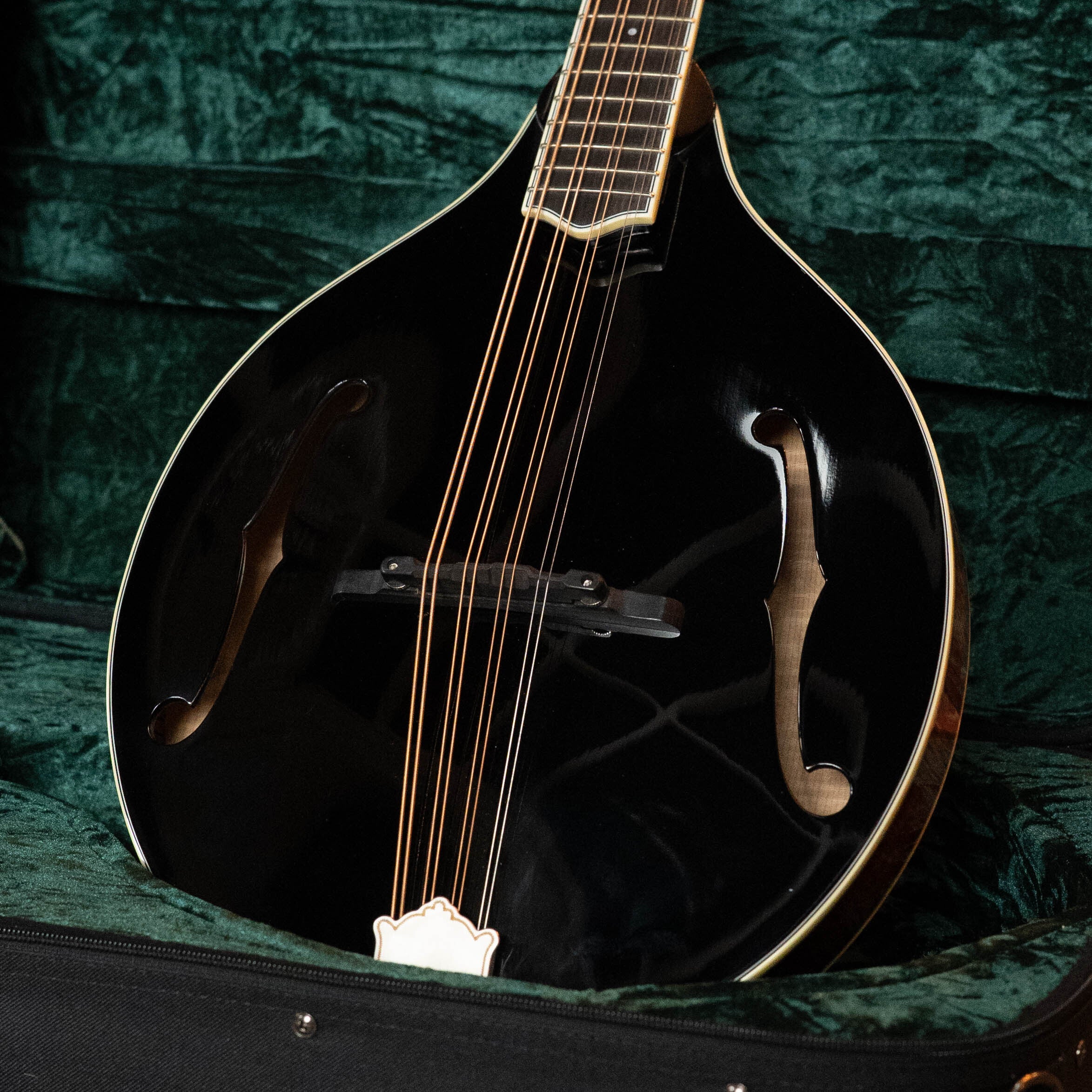 Bourgeois M5-O-BT Aged Tone Adirondack/European Curly Maple Black Octave Mandolin #9045