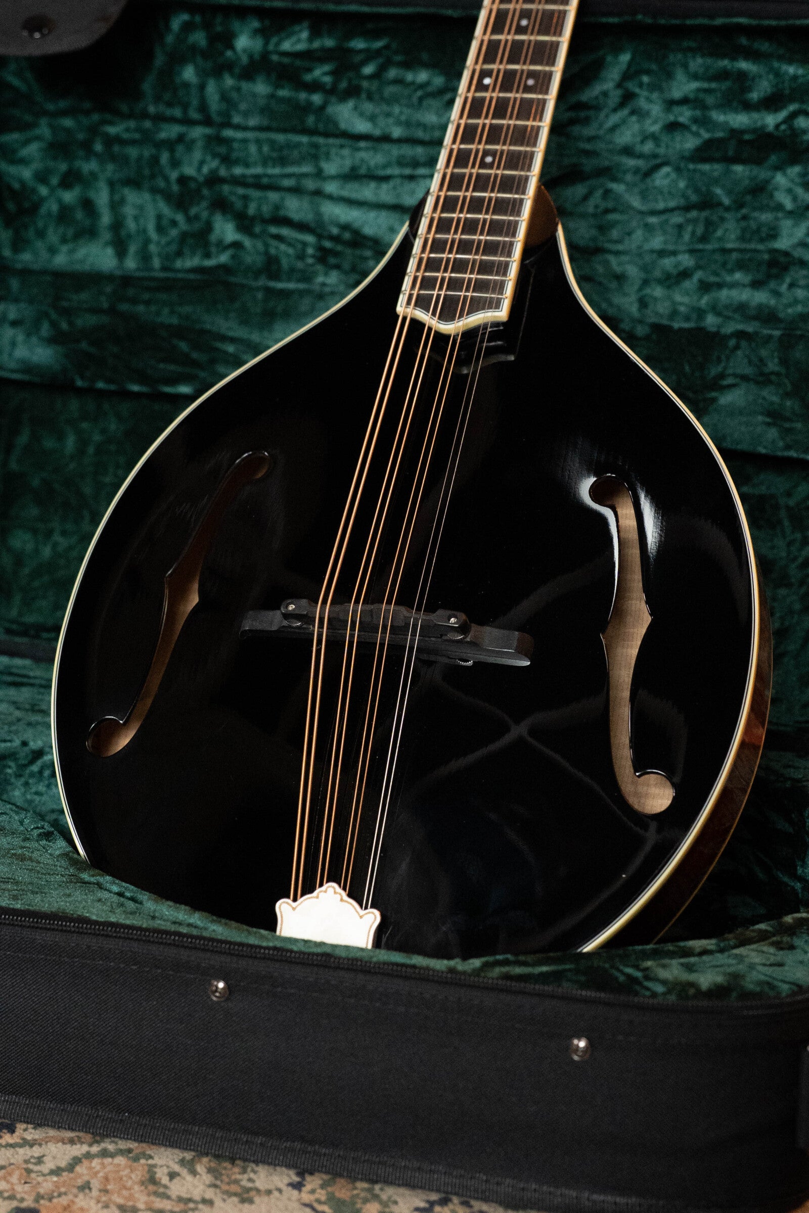 Bourgeois M5-O-BT Aged Tone Adirondack/European Curly Maple Black Octave Mandolin #9045