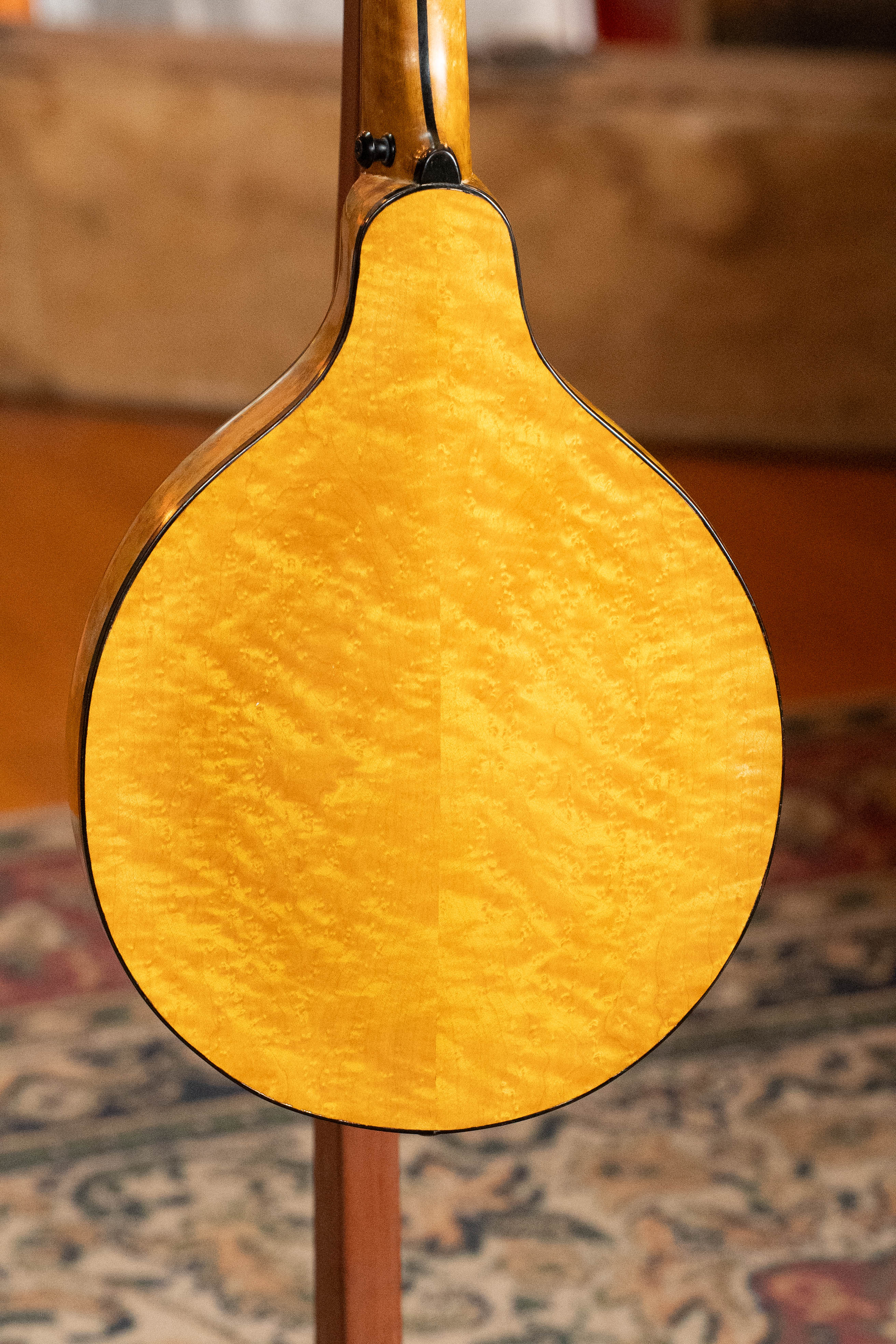 Boyd Blackbird Adirondack/Maple Black Lacquered A-Style Mandolin #0011