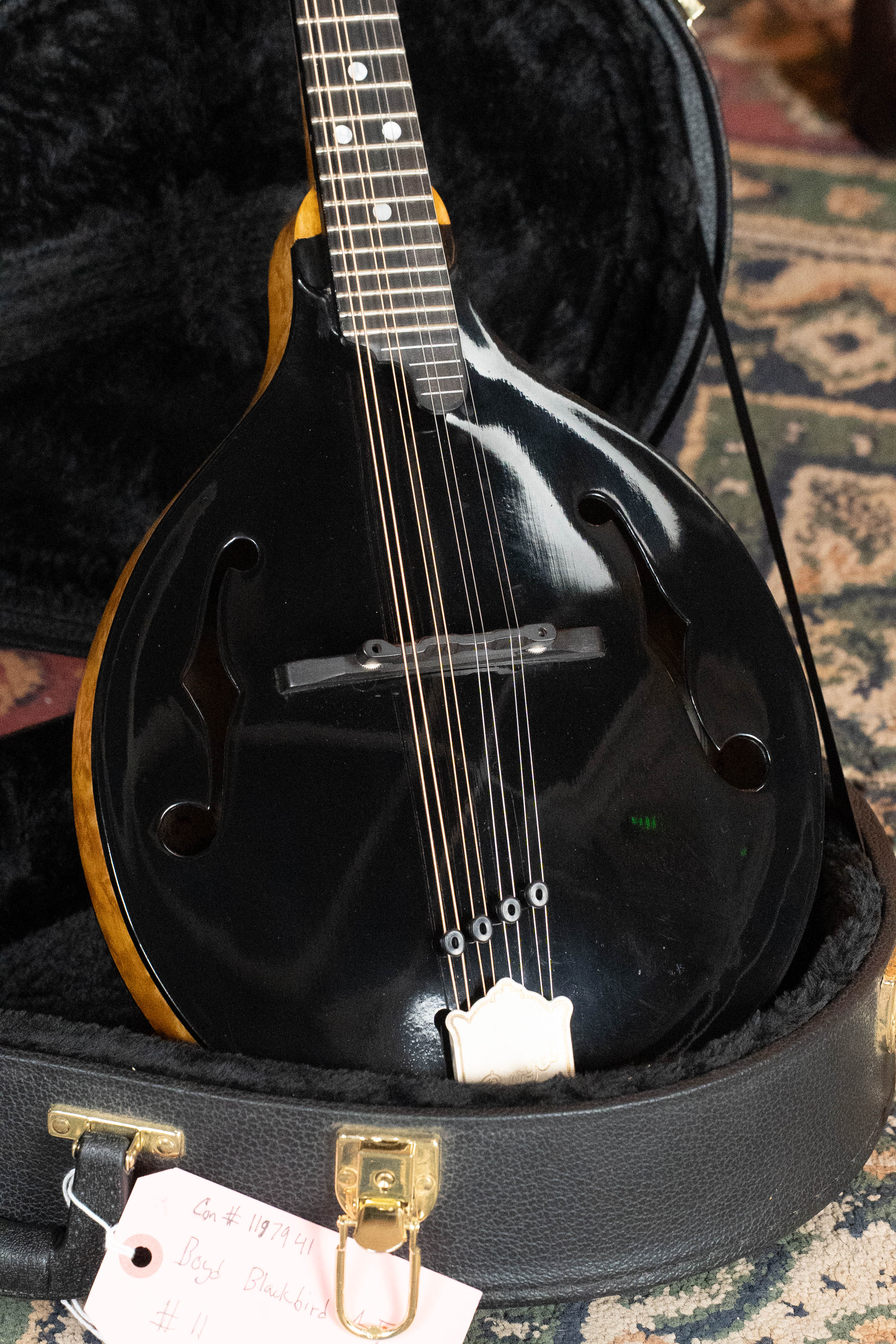 Boyd Blackbird Adirondack/Maple Black Lacquered A-Style Mandolin #0011