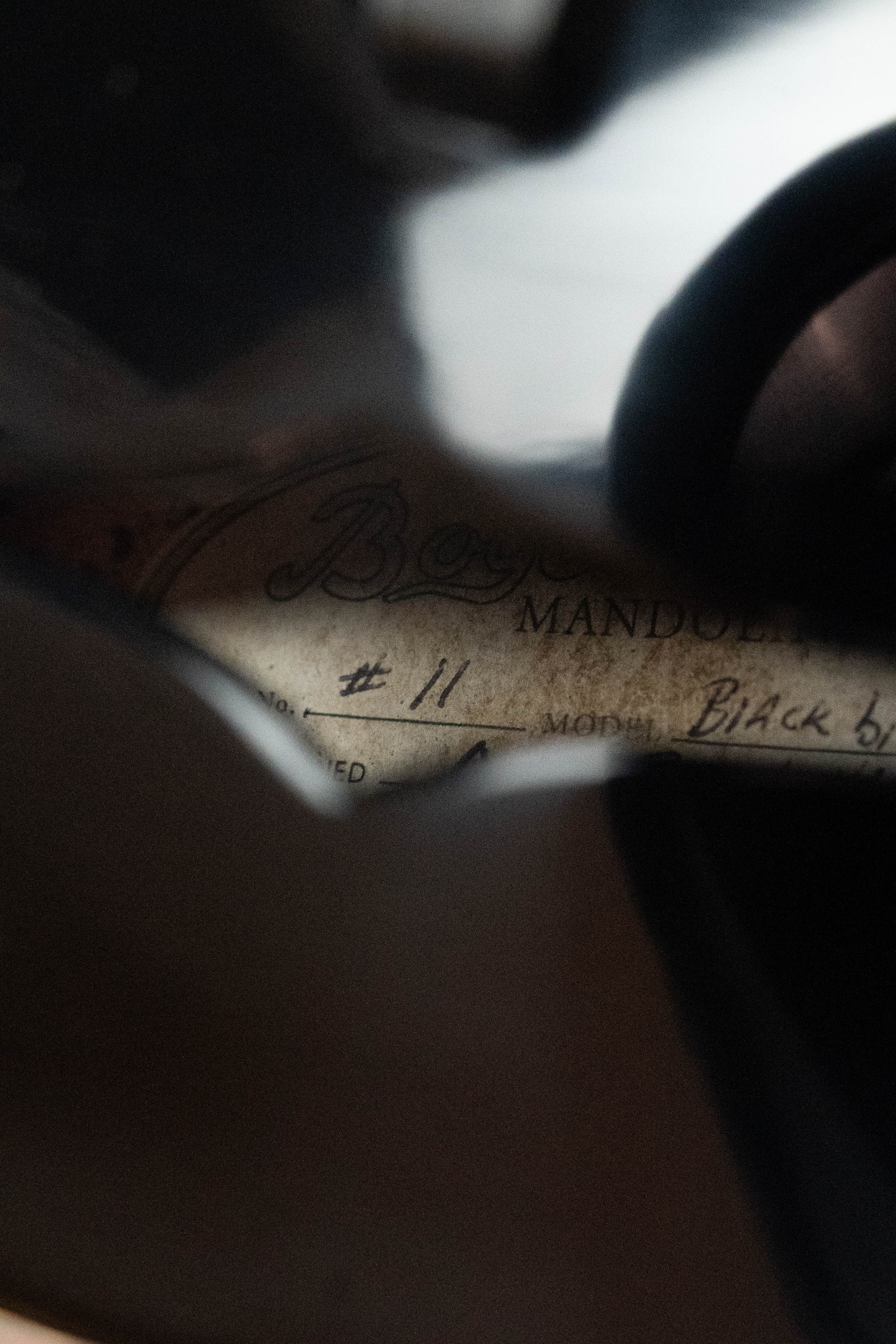 Boyd Blackbird Adirondack/Maple Black Lacquered A-Style Mandolin #0011