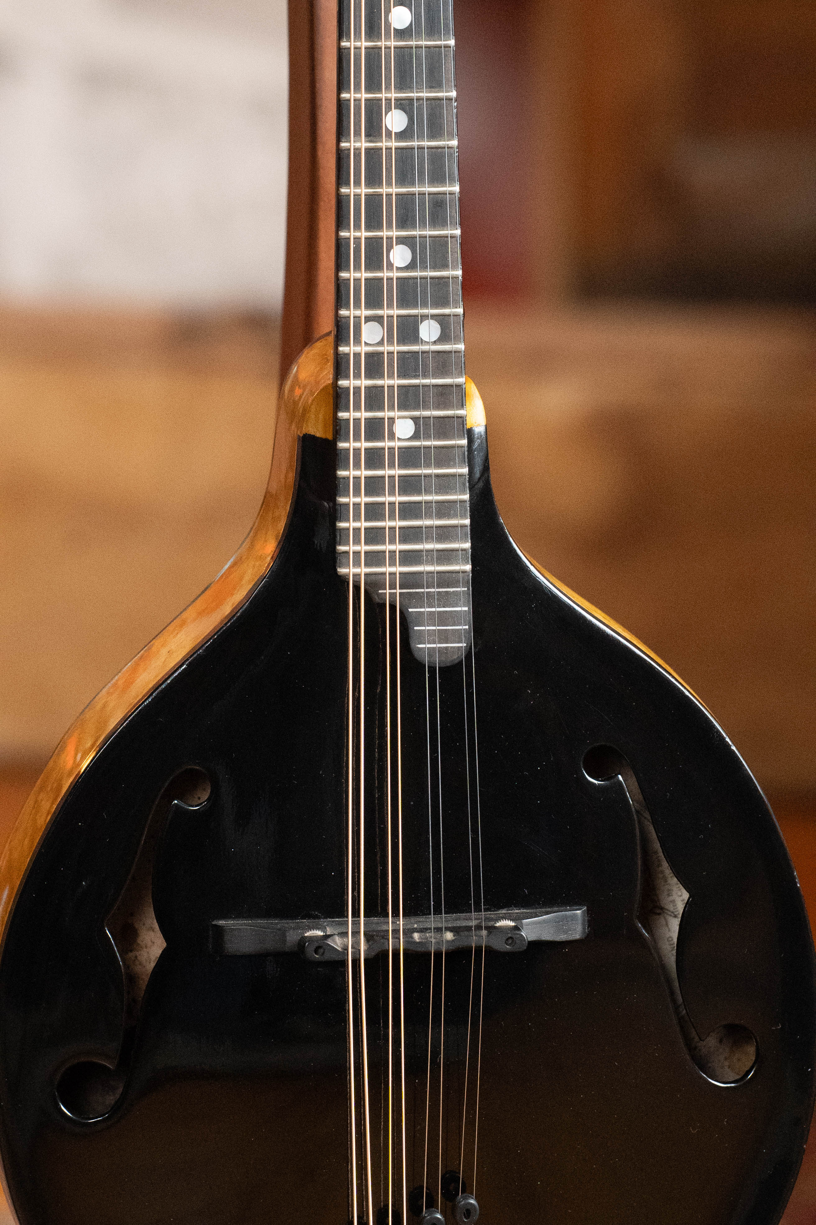 Boyd Blackbird Adirondack/Maple Black Lacquered A-Style Mandolin #0011