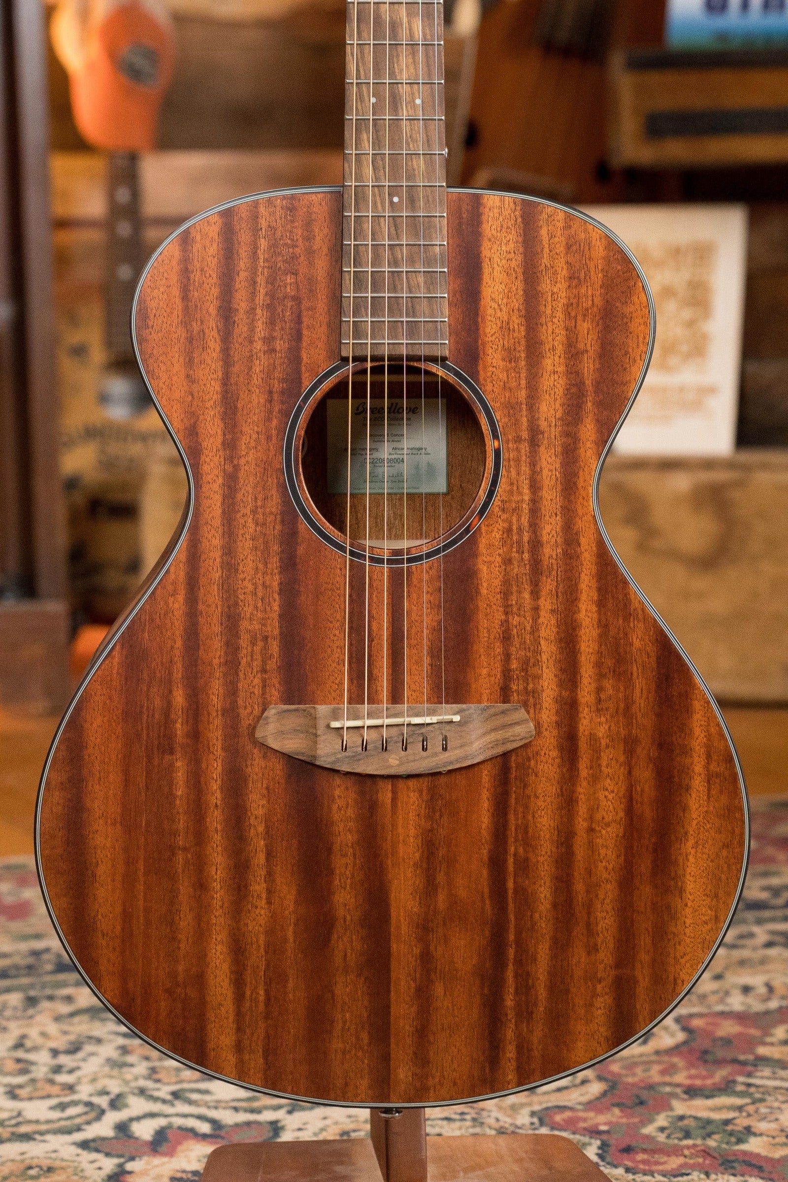 Breedlove Discovery Series All African Mahogany Concert Acoustic Guitar #8004