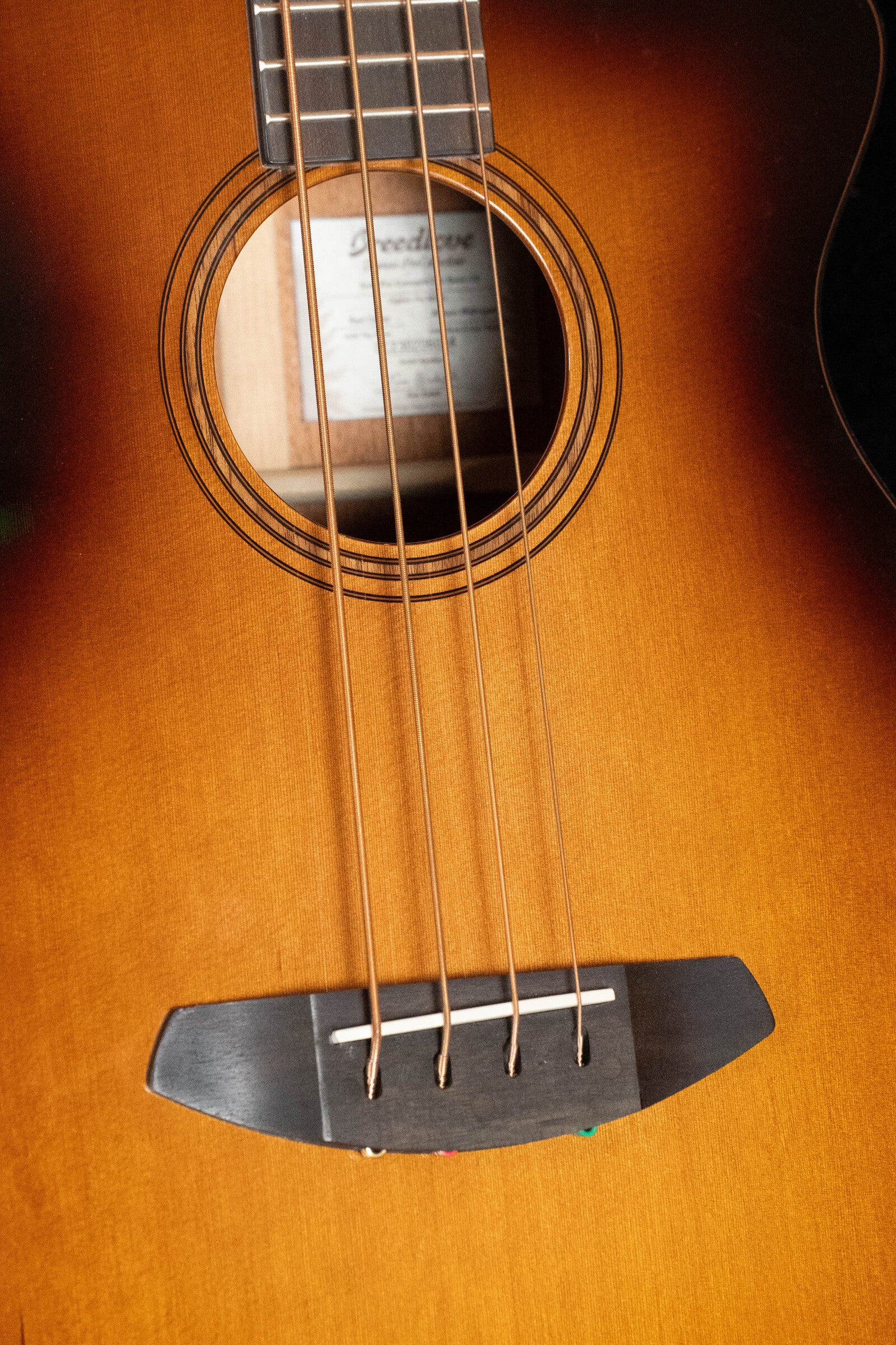 Breedlove Organic Solo Pro Concerto Red Cedar/African Mahogany Edgeburst Cutaway Acoustic Bass w/ Fishman Pickup #6054