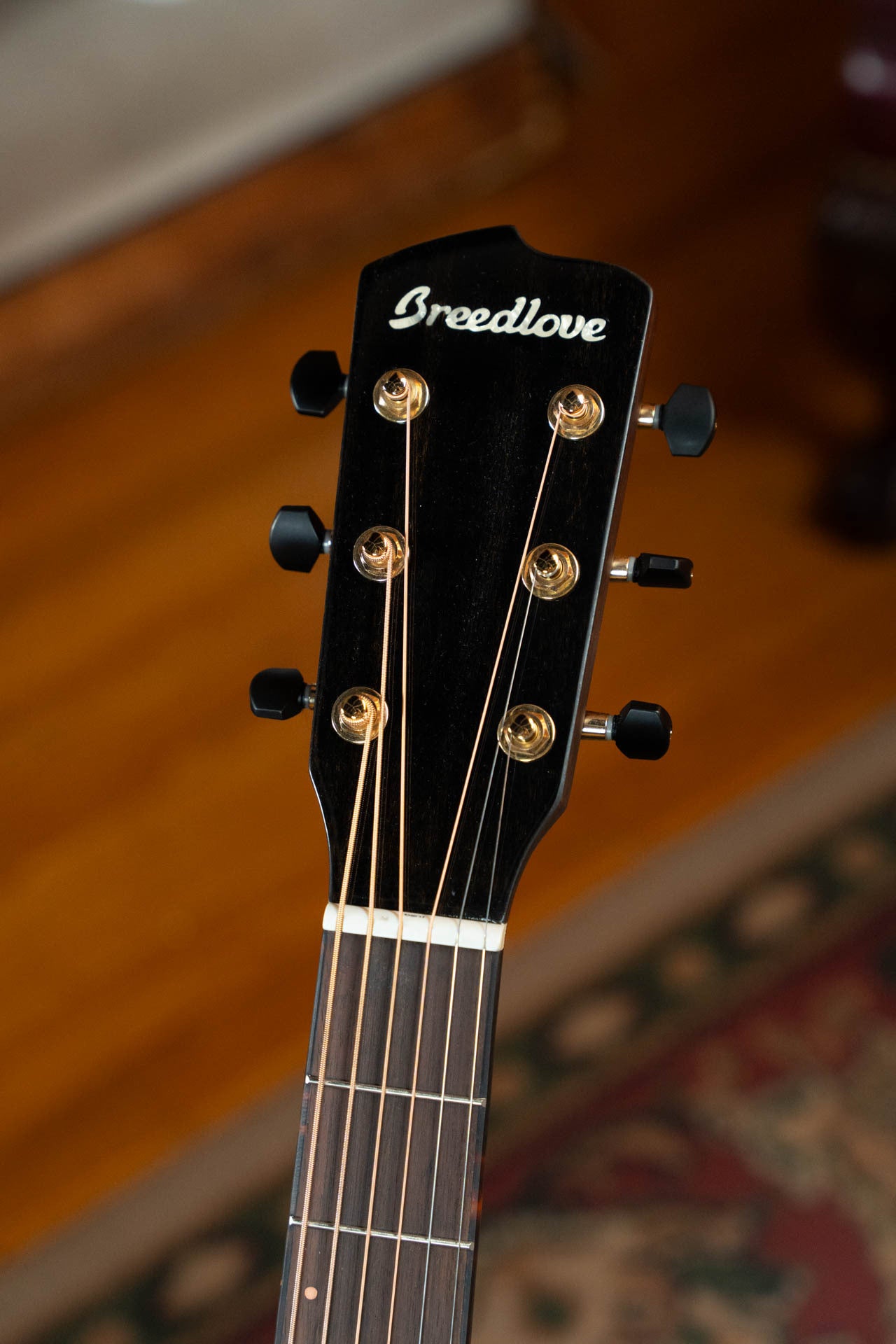 Breedlove Performer Pro Series Spruce/Rosewood Aged Toner Cutaway Dreadnought Concerto Guitar w/Electronics #6345