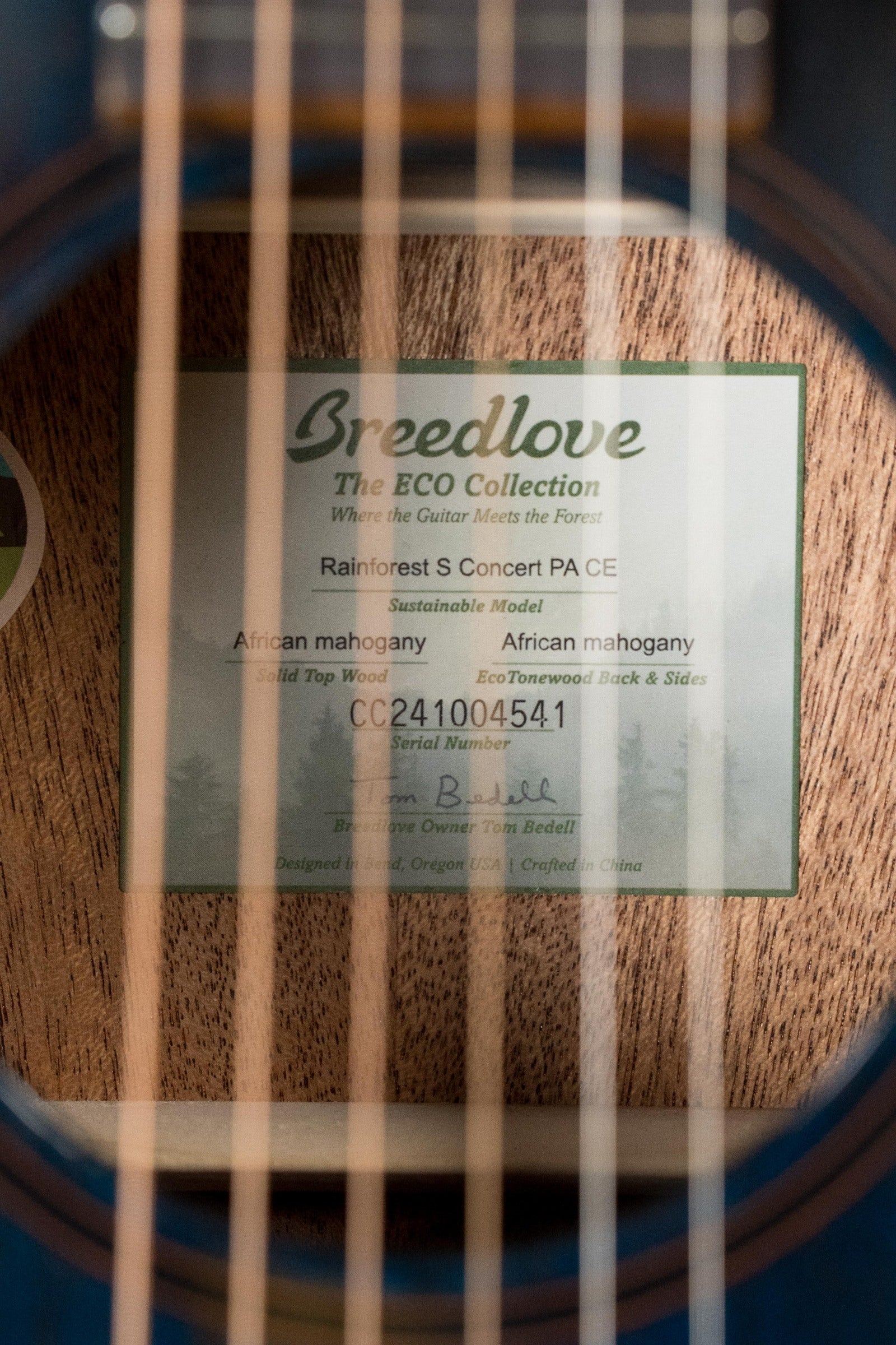 Breedlove Rainforest S All Mahogany Cutaway Concert Papillon Guitar w/Electronics #4541