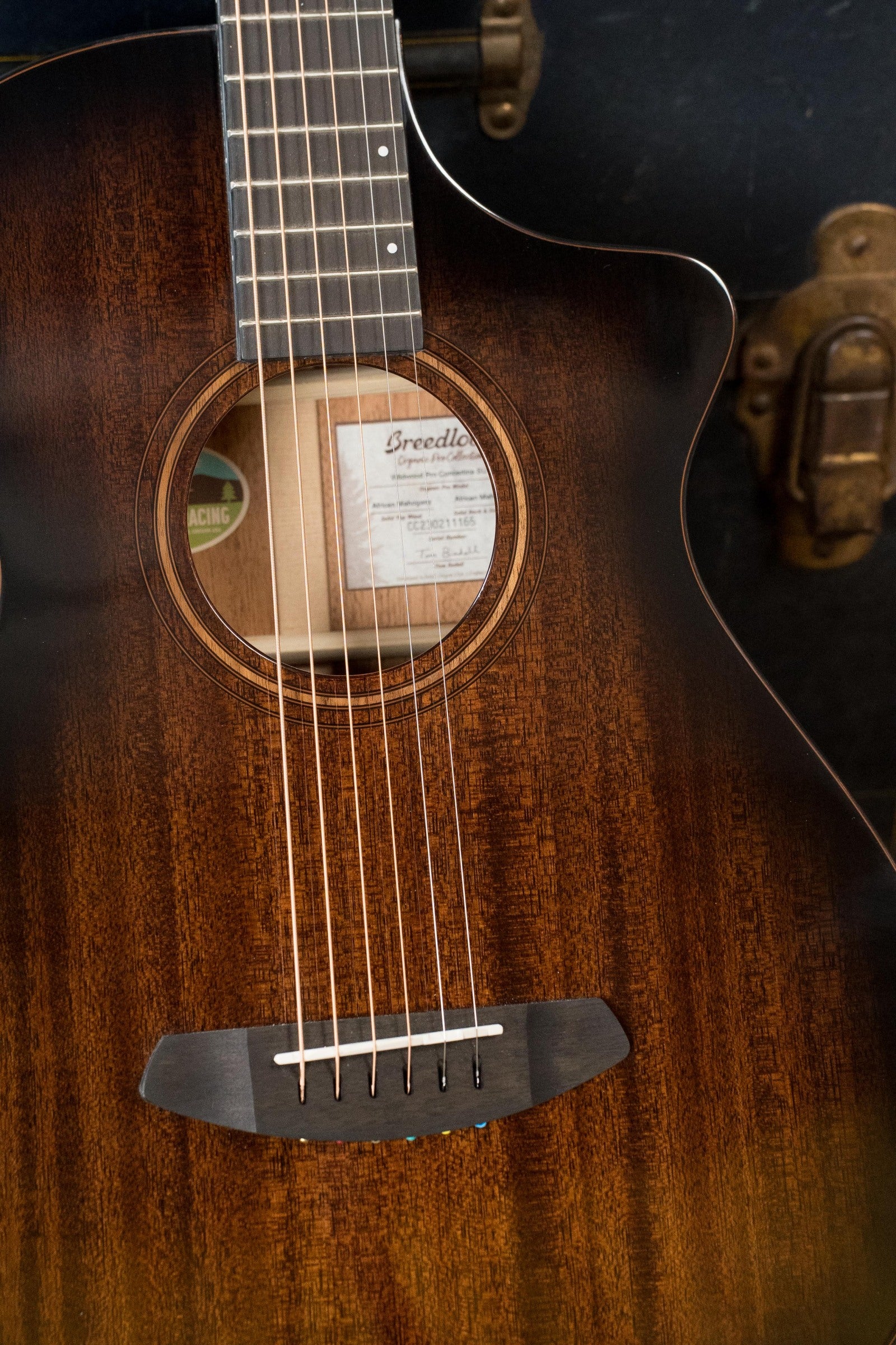 Breedlove Wildwood Pro Series All Mahogany Cutaway Parlor Concertina Suede Guitar w/Electronics #1165