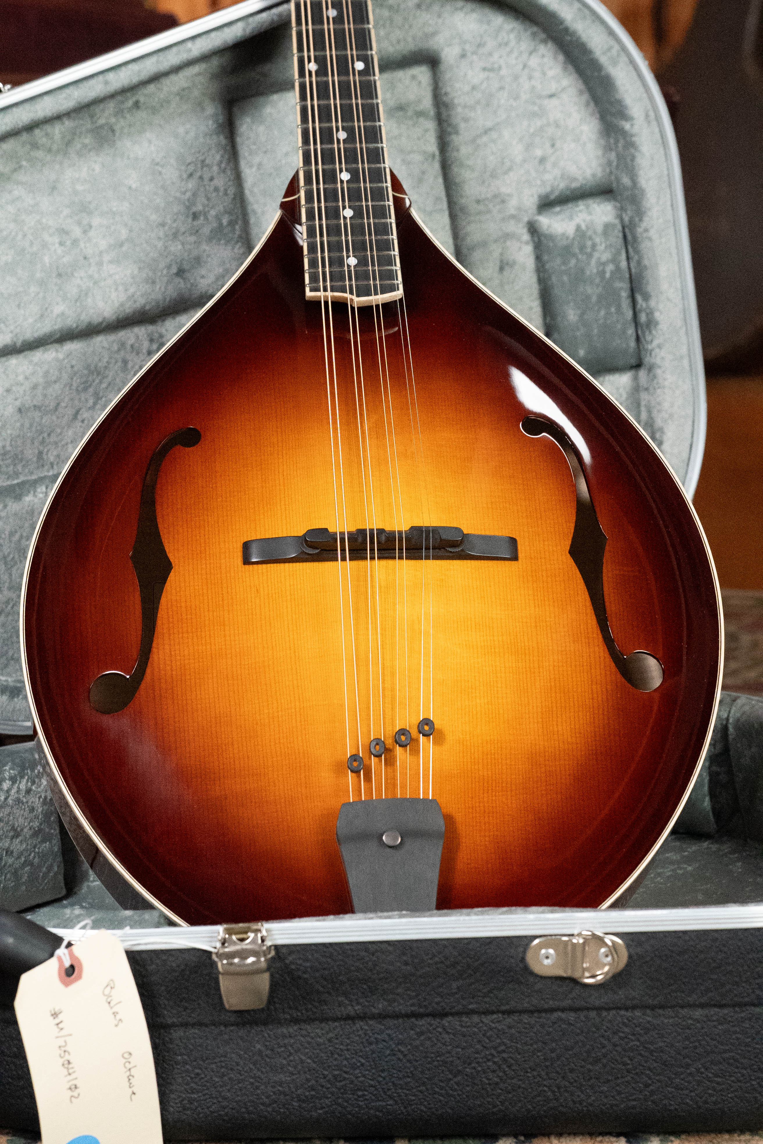 Bulas Carpathian Spruce/Curly Maple Cremona Sunburst Octave Mandolin #4102