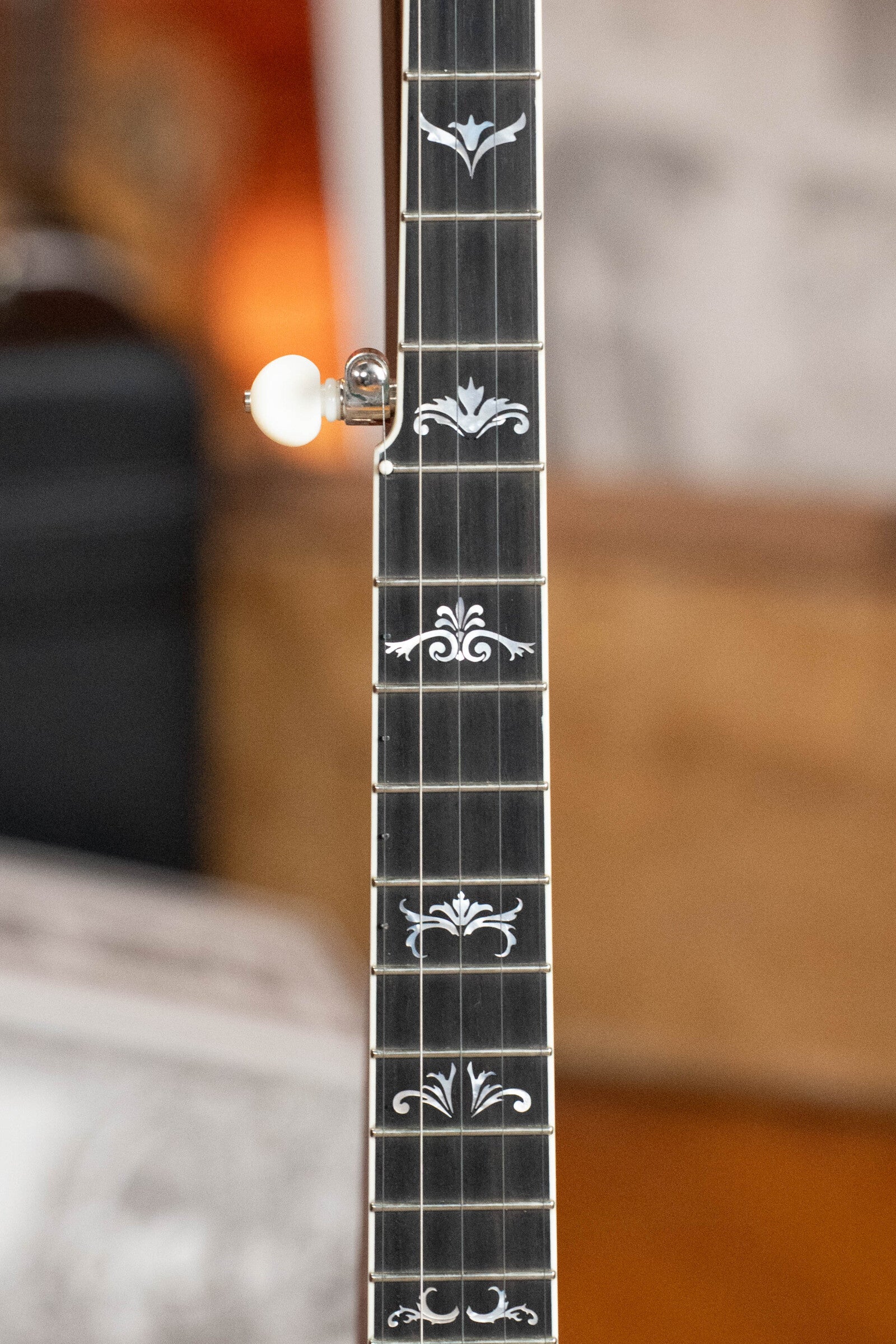 Bulas Echo Valley 5-String Resonator Banjo #0575