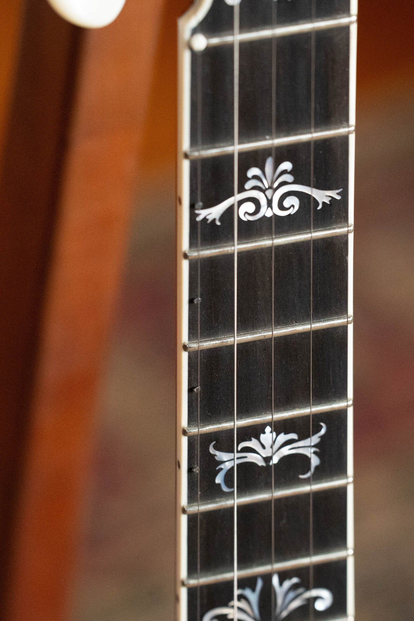 Bulas Echo Valley 5-String Resonator Banjo #0575